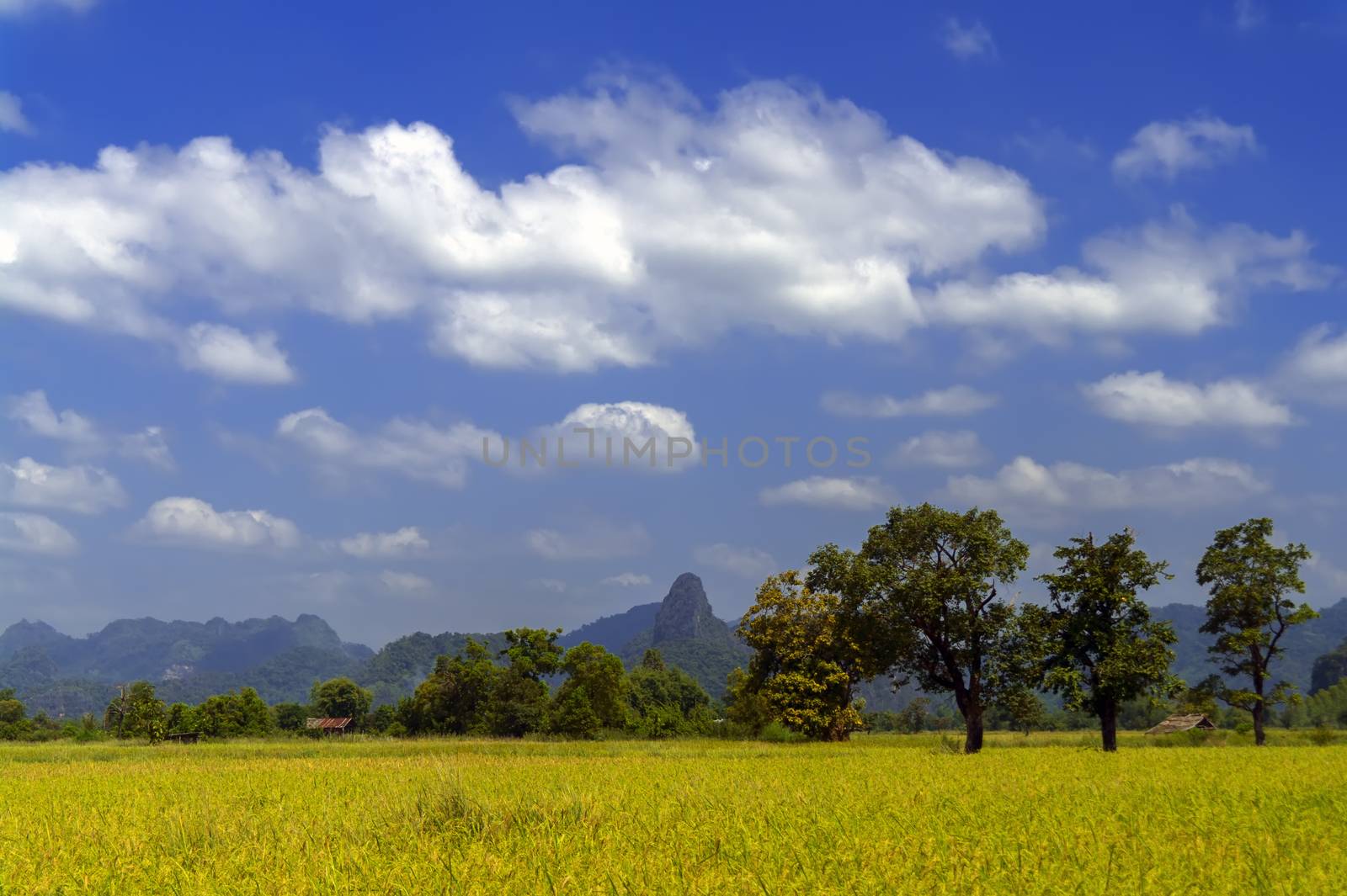 Sky, Fields, Hills. Roads of Laos Khammouane province. 