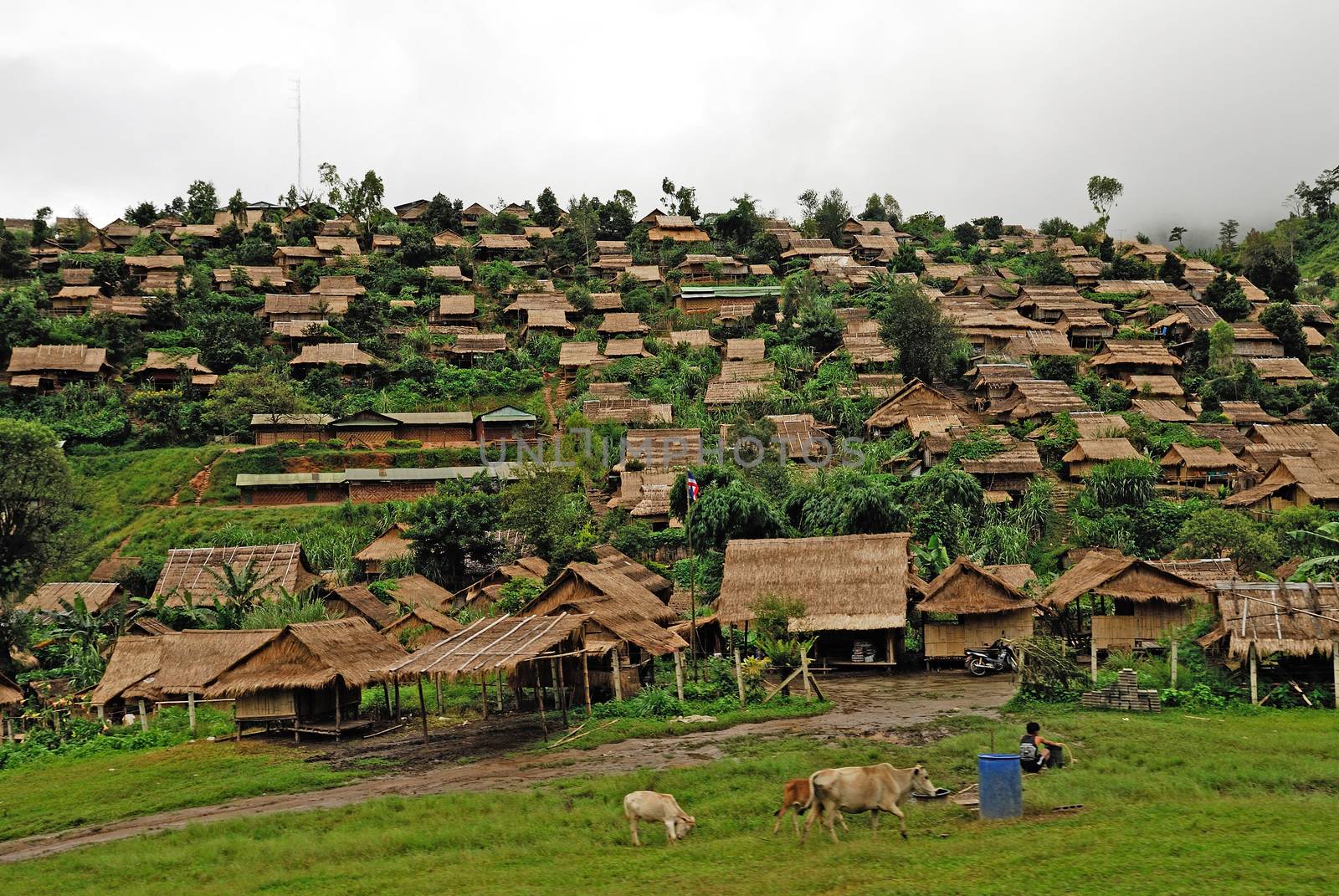 Refugee camps in Thailand.