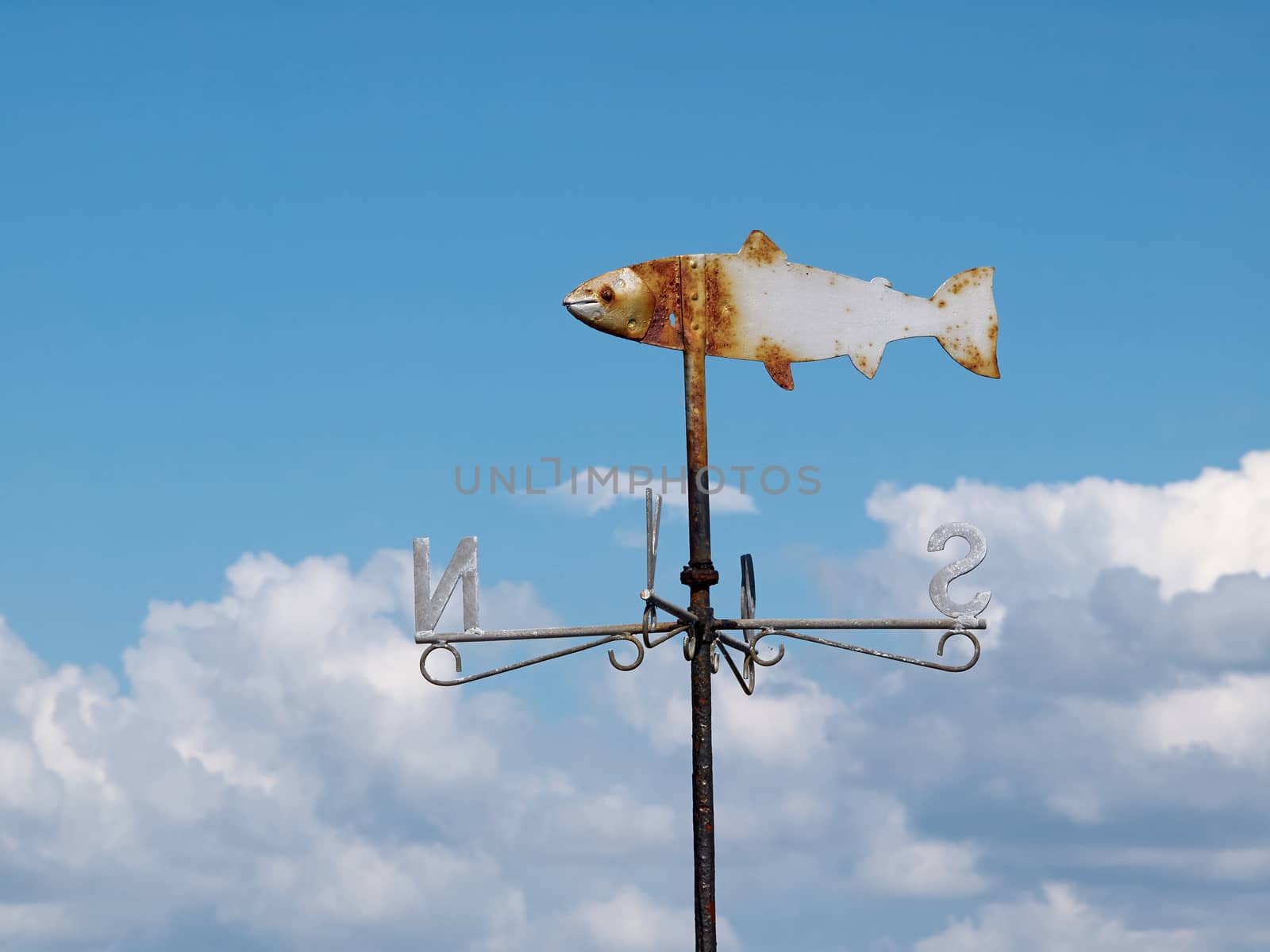 Marine weather vane shaped like a fish blue sky background
