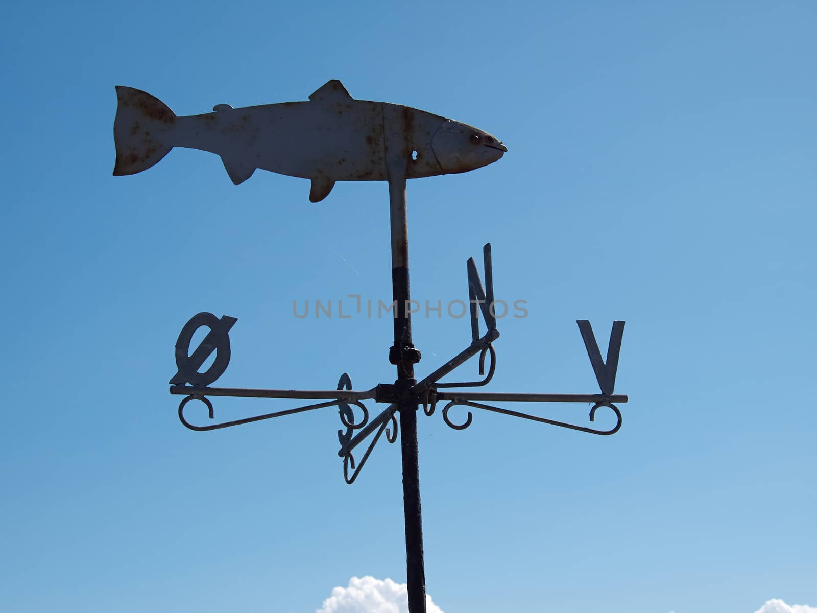 Marine weather vane shaped like a fish blue sky background