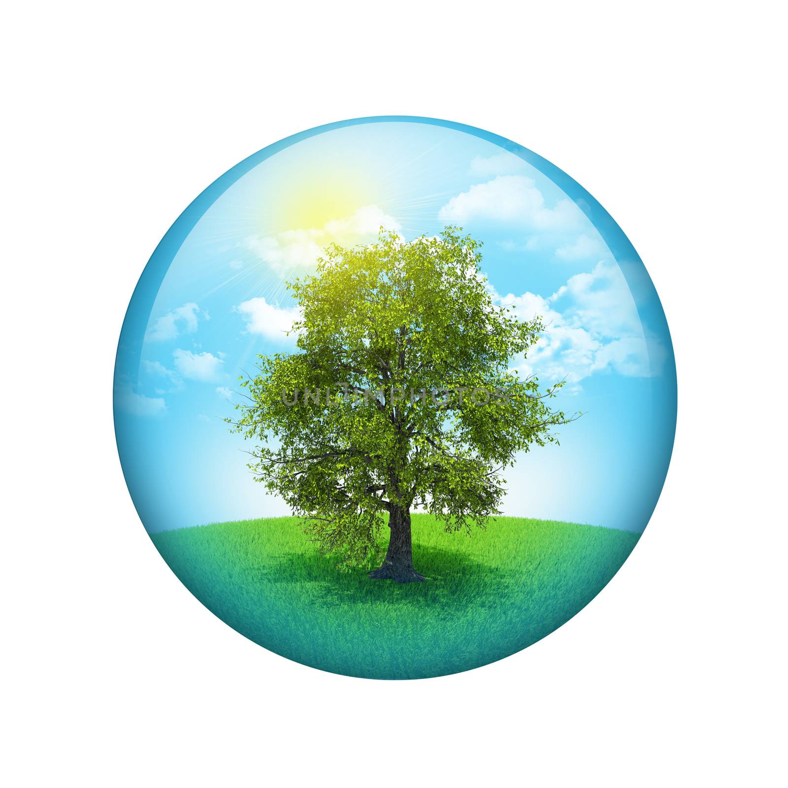 Trees and green landscape. Spherical glossy button. Web element