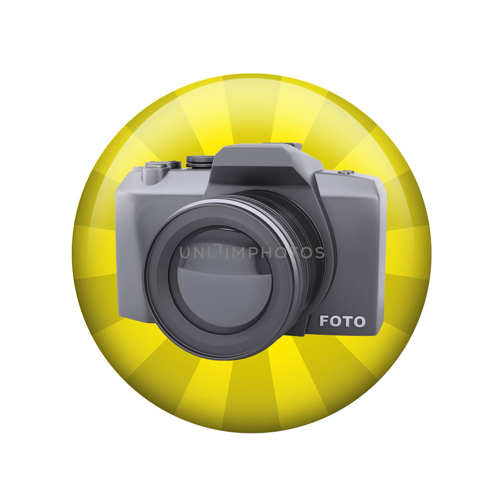 SLR camera. Spherical glossy button. Web element