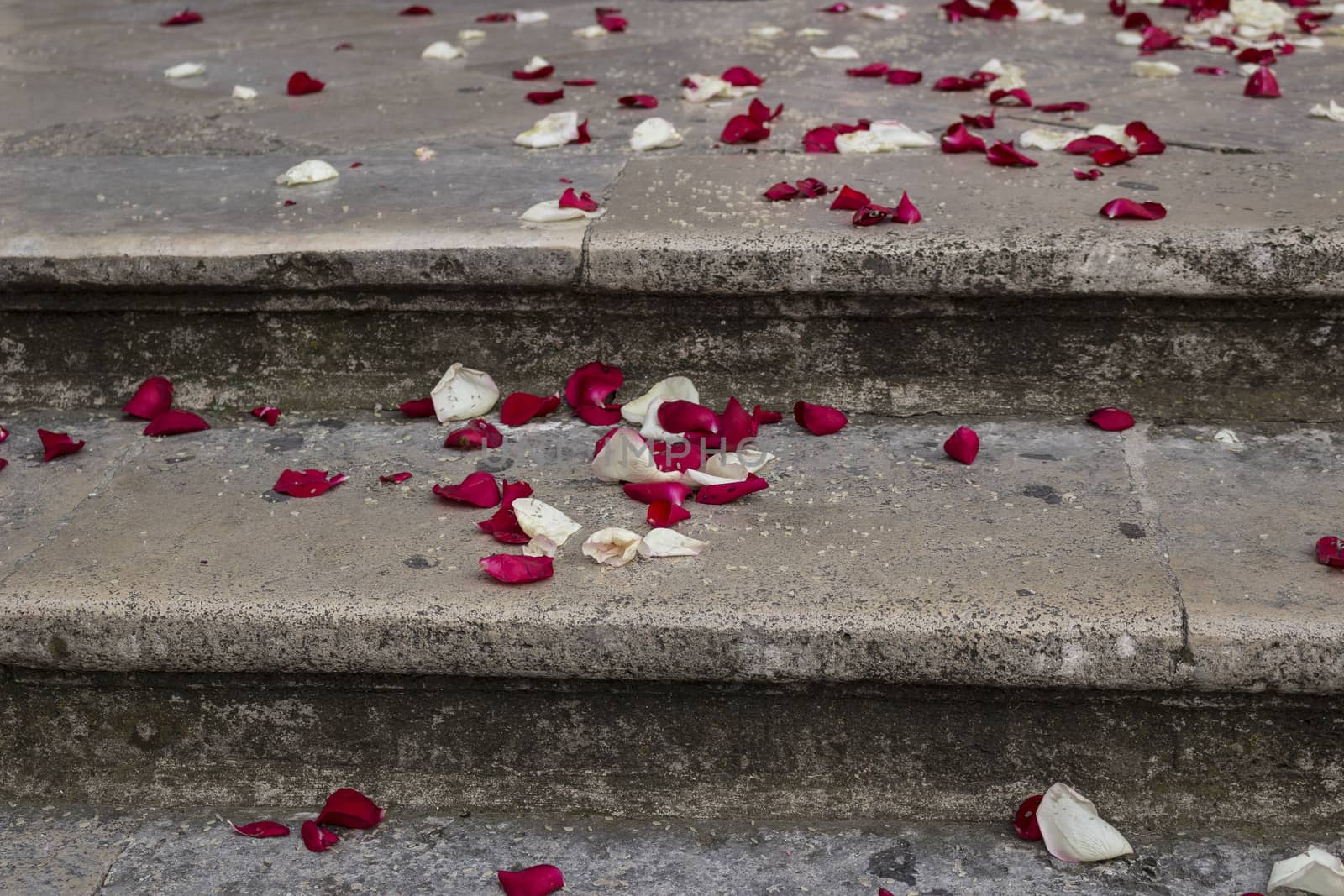 Just married: rose petals and rice grains on the steps of a staircase