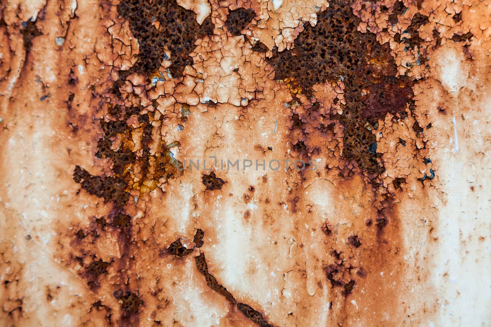 Grunge retro rusty metal texture or background by Lizard