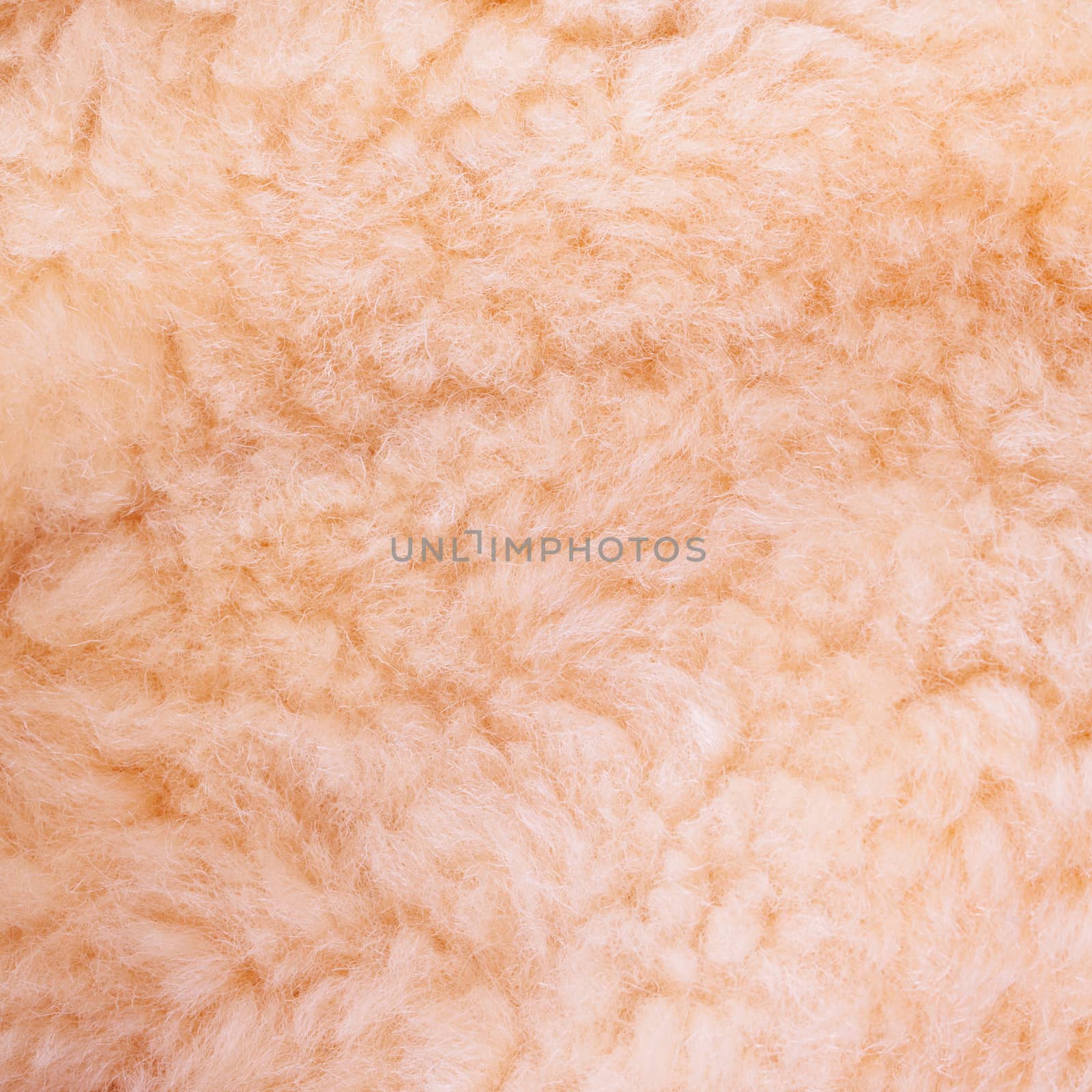 Woolly background in close up, square image