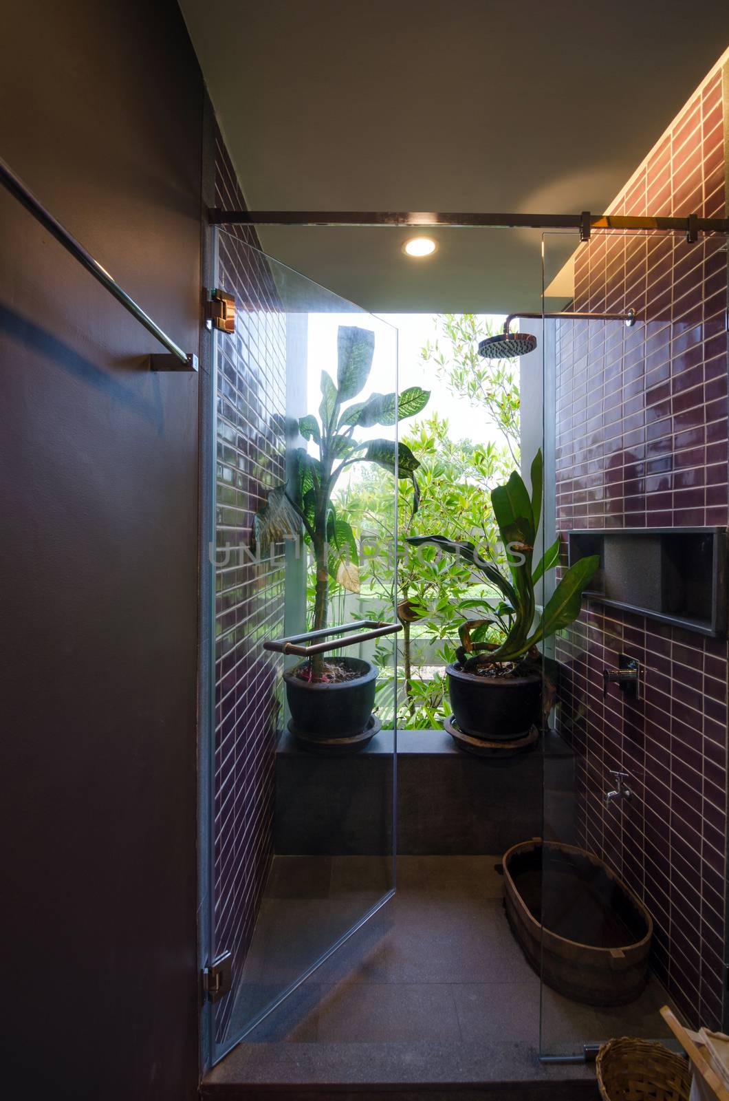 Shower Room with nature in a Tropical House