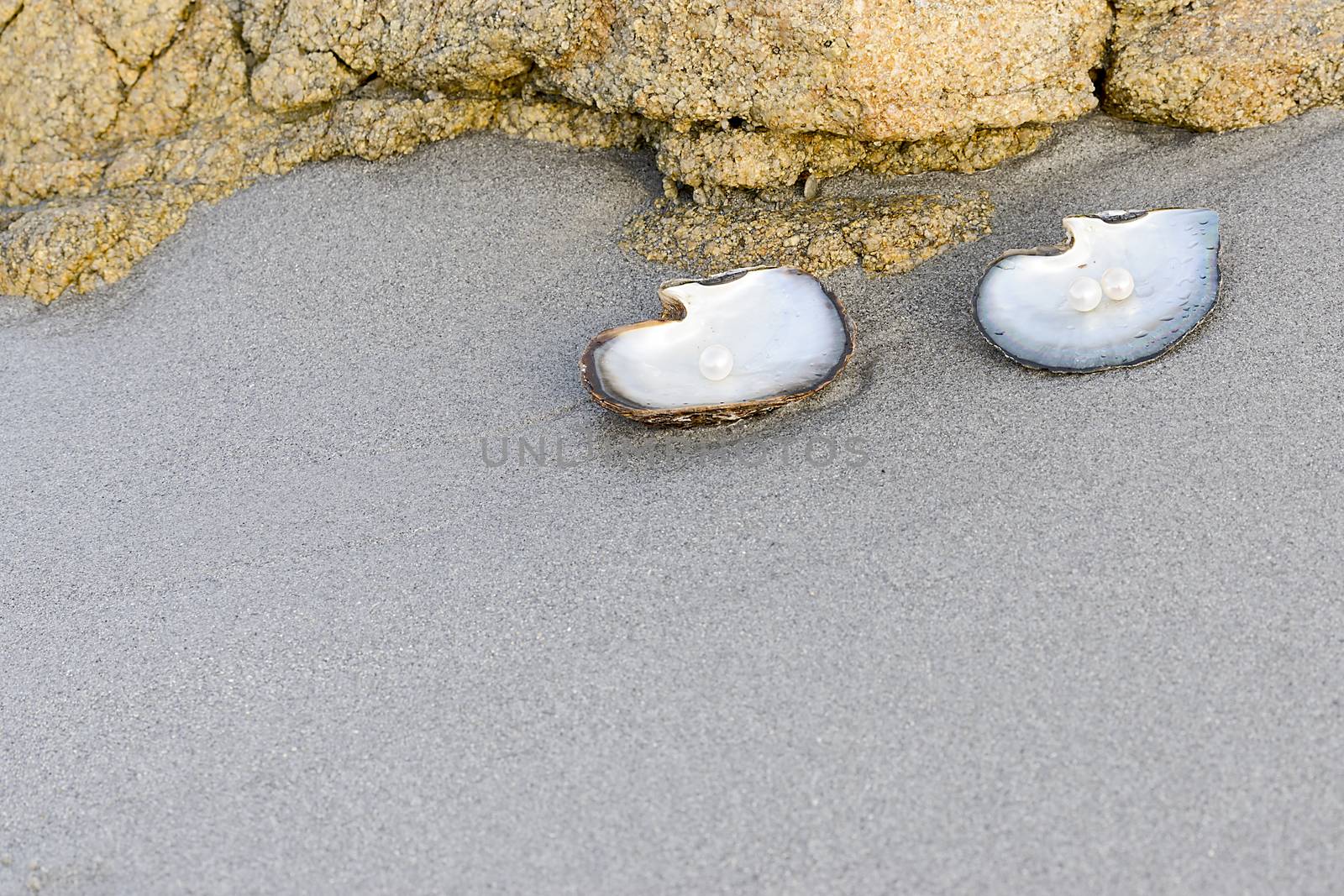 Sea shell with pearl on the sandy beach. Oysters and pearls of origin Japan.