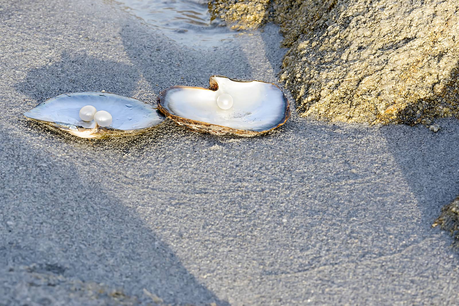 Sea shell with pearls on the sandy beach. Oyster and pearls of origin Japan