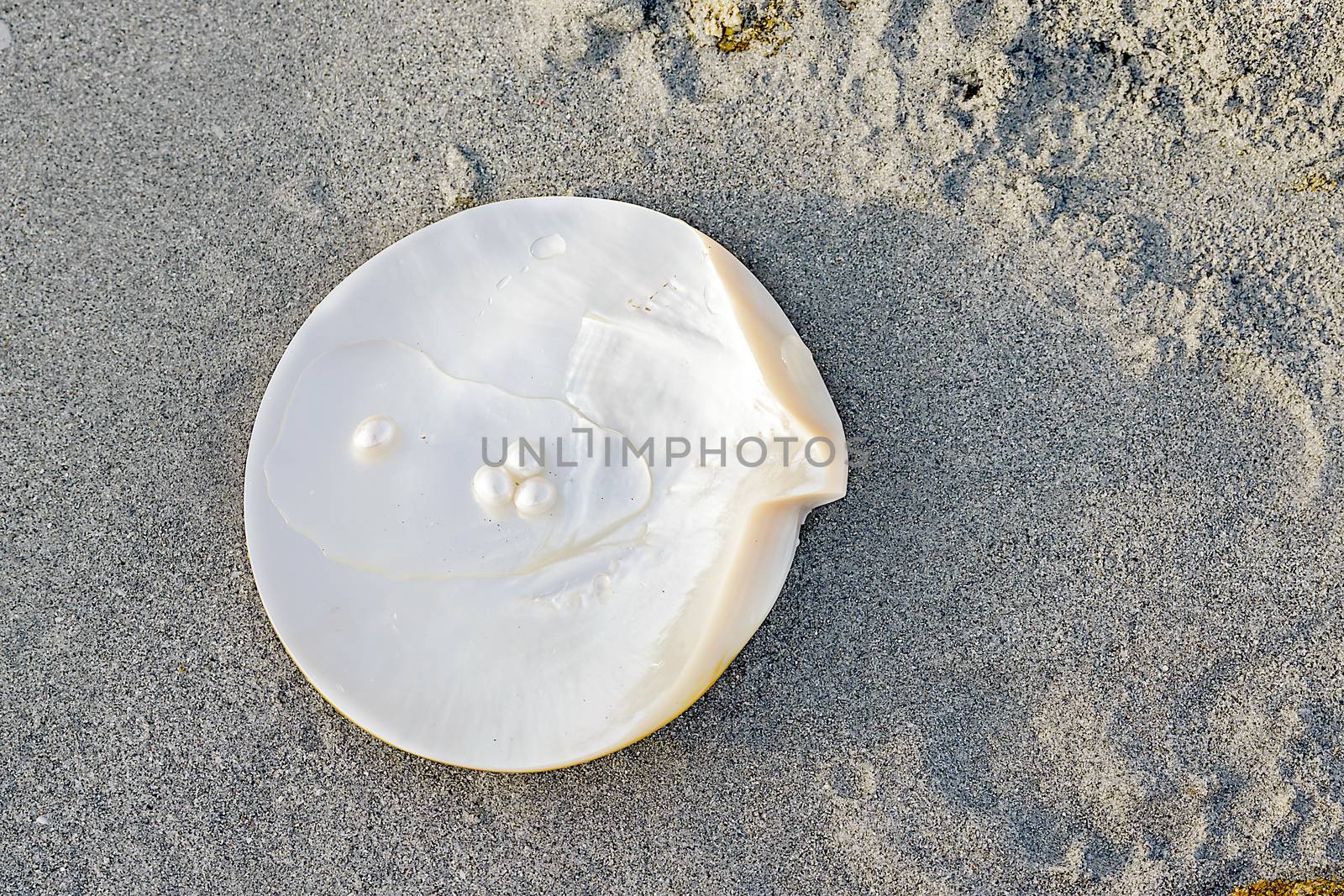 Sea shell with pearl on the sandy beach. Oysters and pearls of origin Japan.