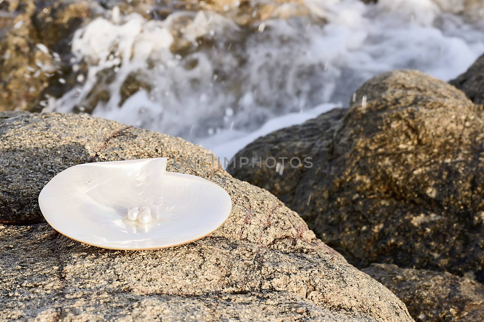Sea shell with pearl on the sandy beach. Oysters and pearls of origin Japan.