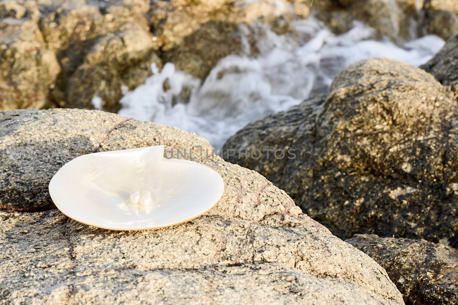 Sea shell with pearl on the sandy beach. Oysters and pearls of origin Japan.