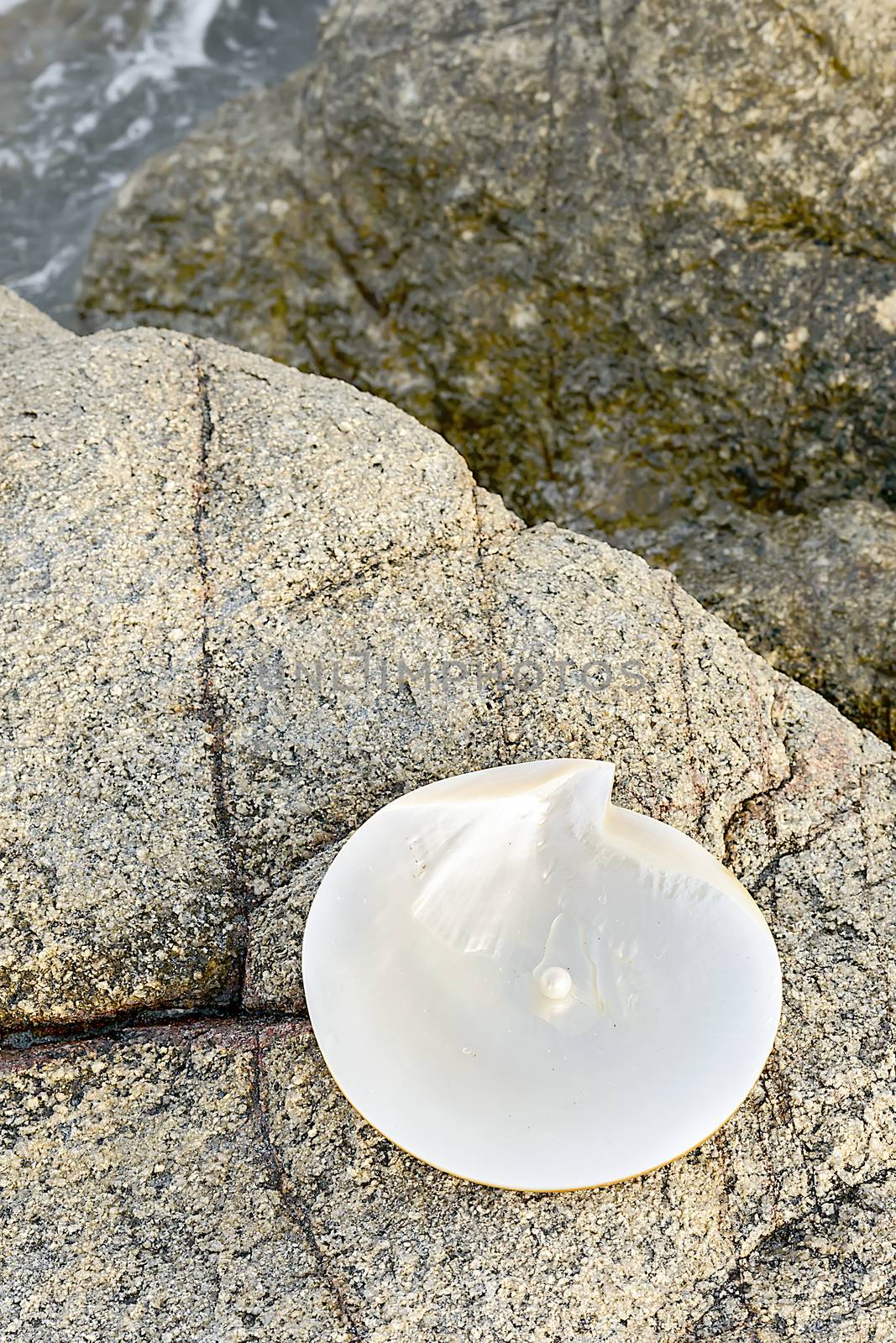 Sea shell with pearl on the sandy beach. Oysters and pearls of origin Japan.