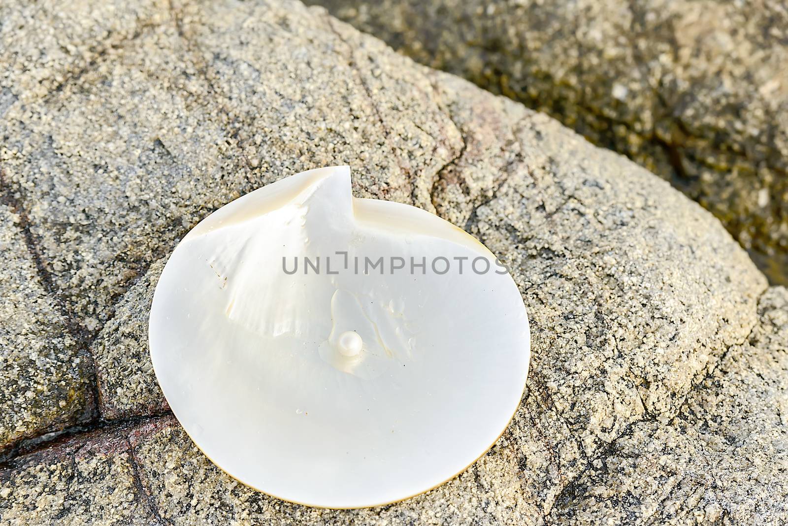 Sea shell with pearl on the sandy beach. Oysters and pearls of origin Japan.