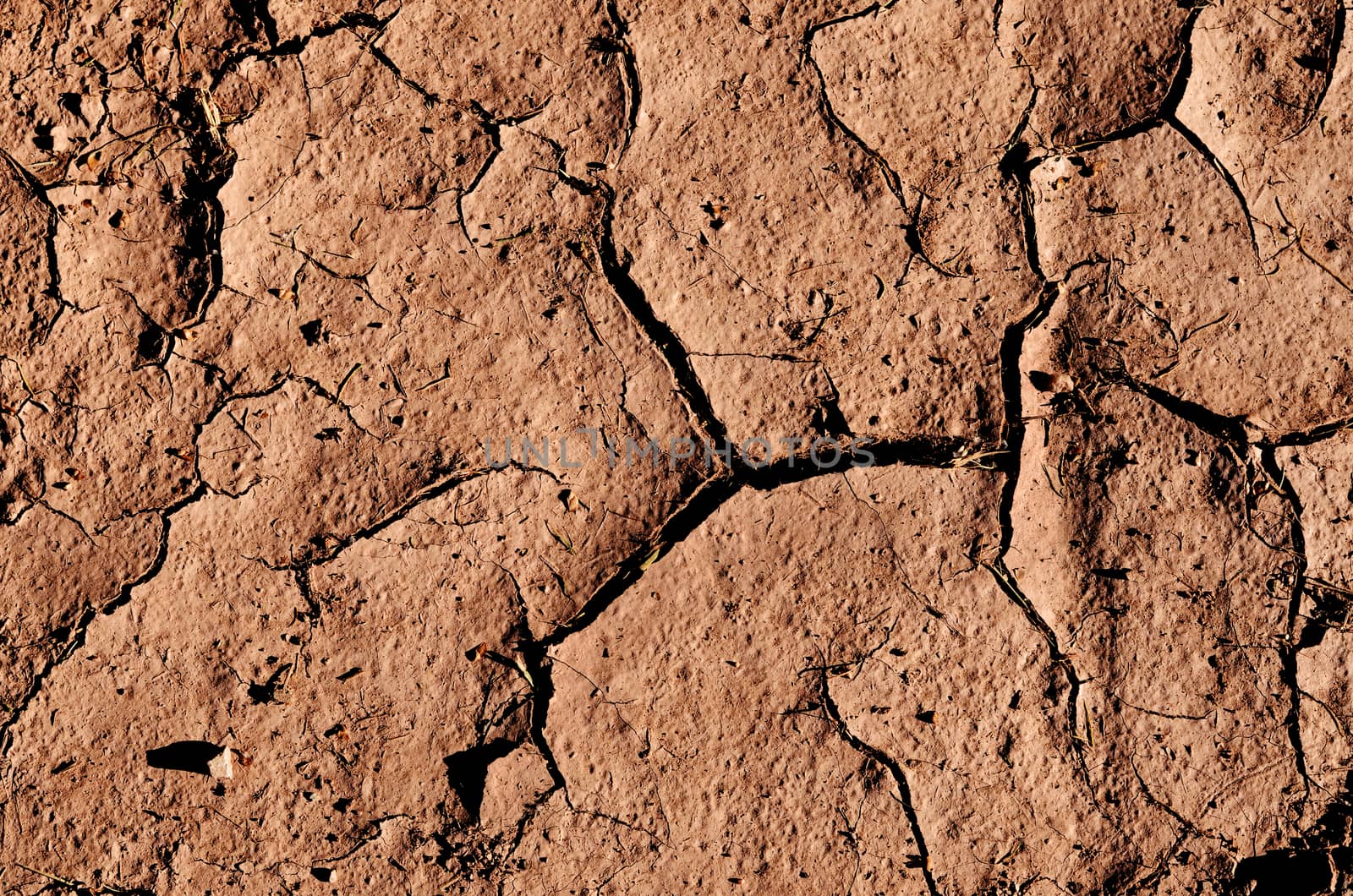cracked dried ground