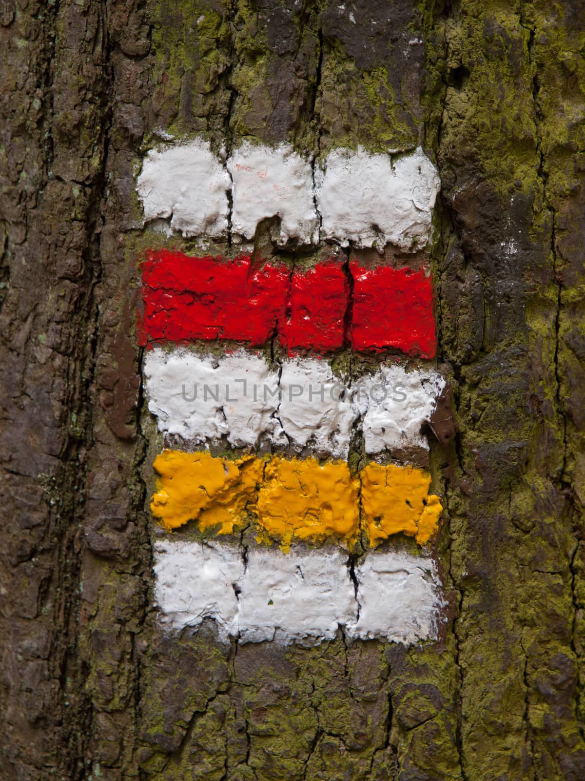 Czech tourist signage - red and yellow mark on the tree bark