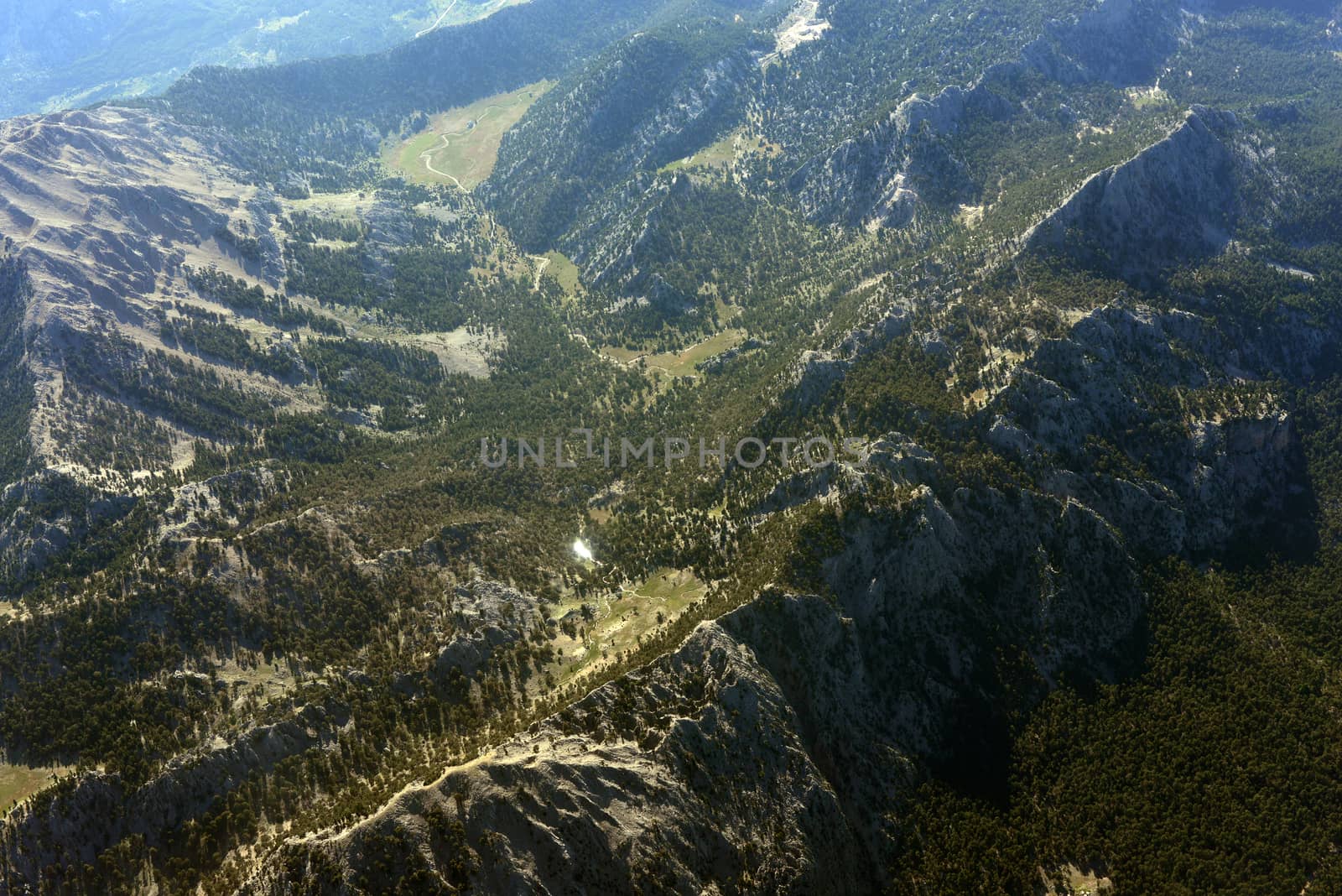 Mountains covered with trees. Top view. Natural landscape