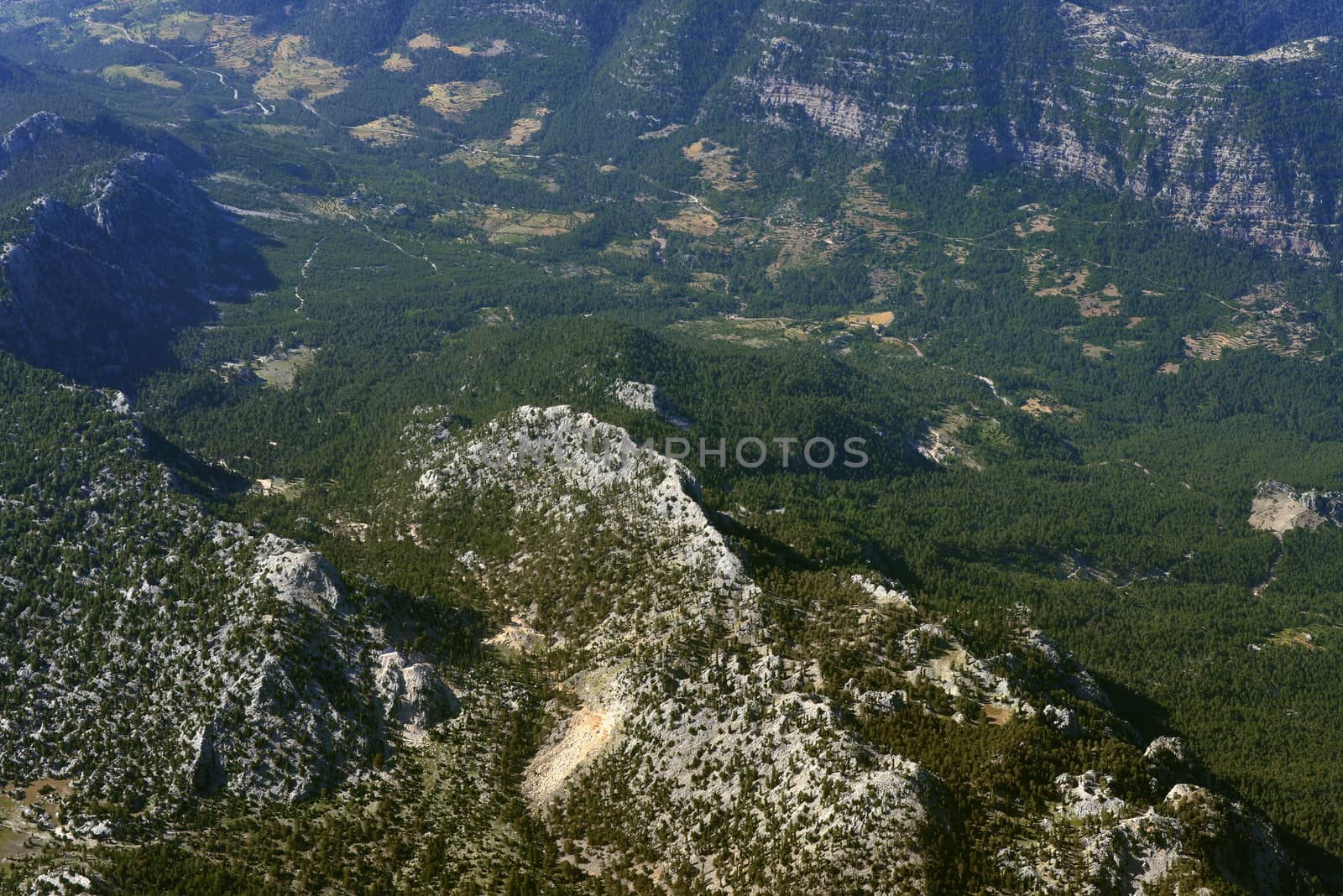 Mountains covered with trees. Top view. Natural landscape