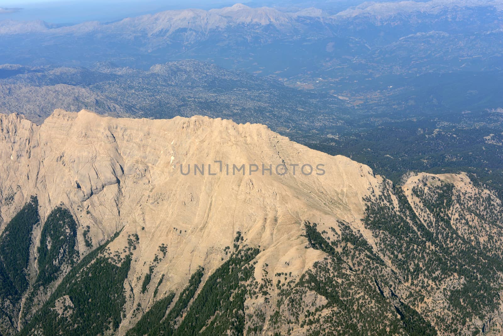 Mountains covered with trees by cherezoff