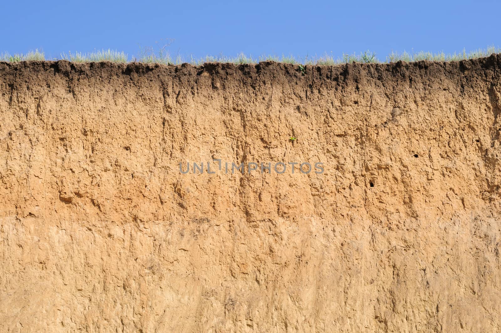 Cut of soil with different layers, grass and sky by starush