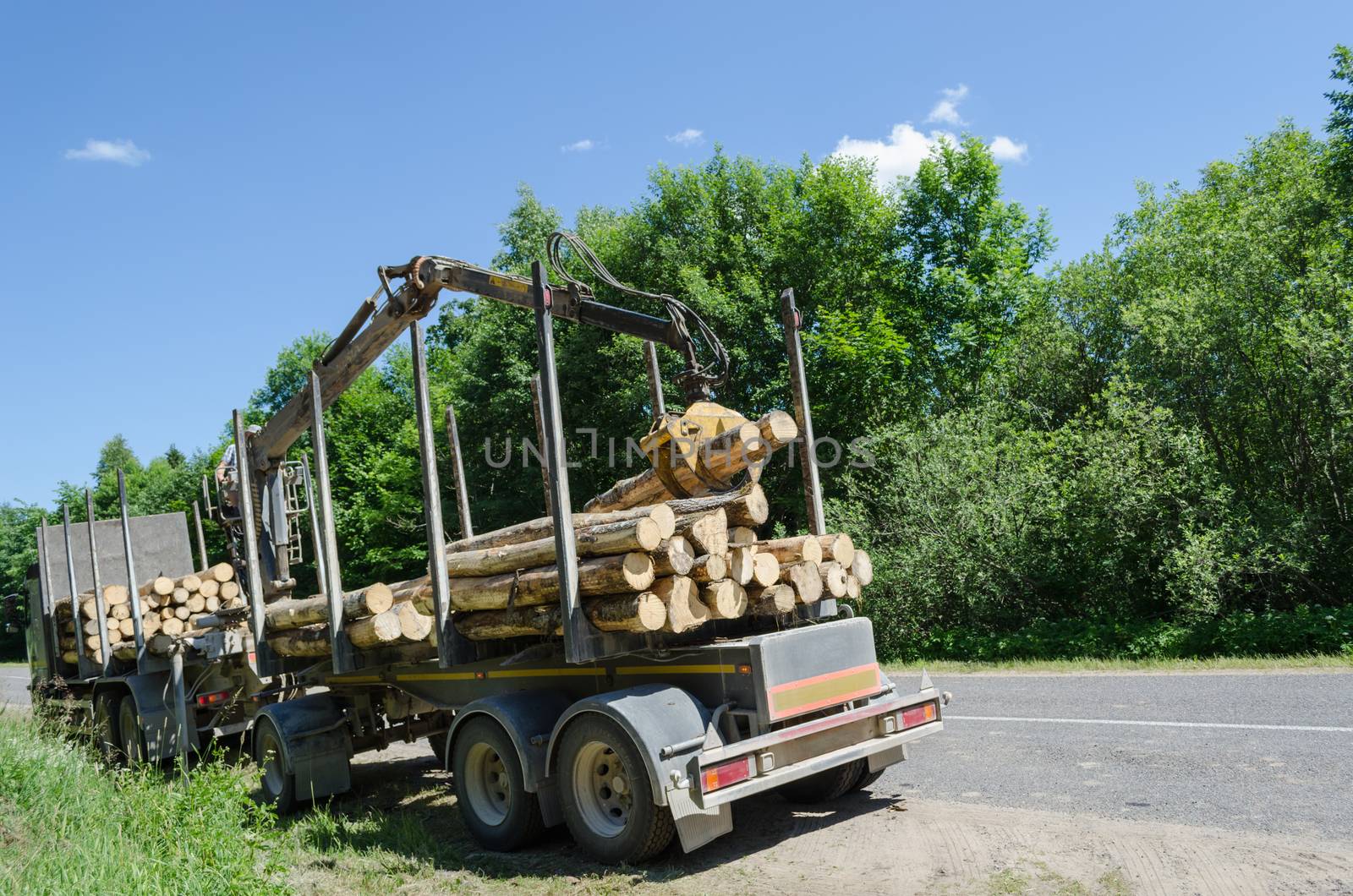 heavy forest trailer with log pile along road by sauletas