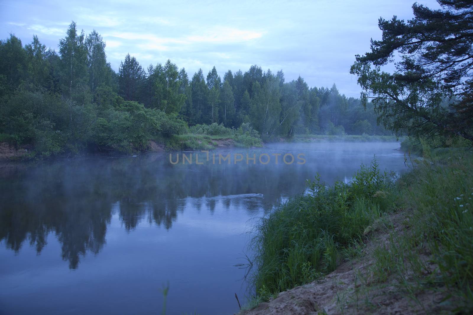 Landscape with river, forest and mist in the evening