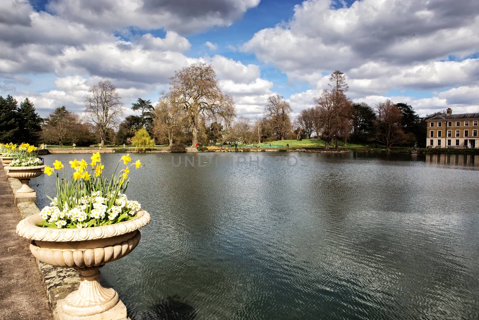 Small pond in Kew gardens, London by mitakag