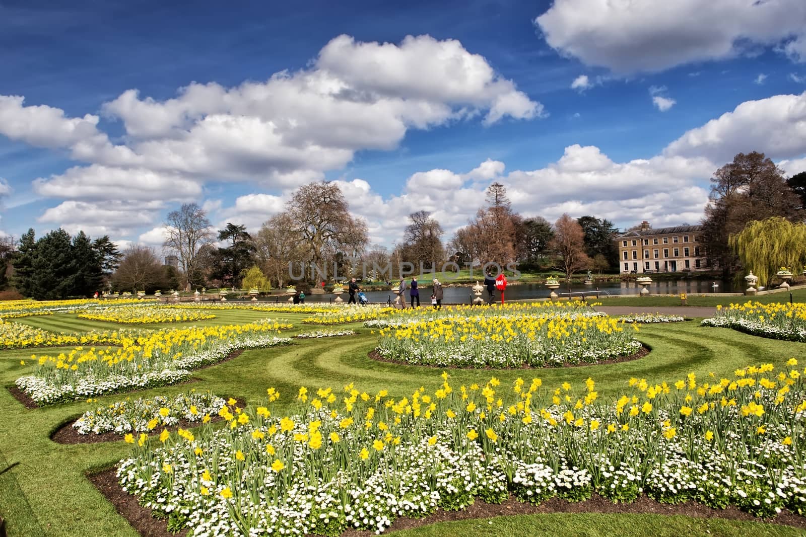 Kew gardens  in London by mitakag