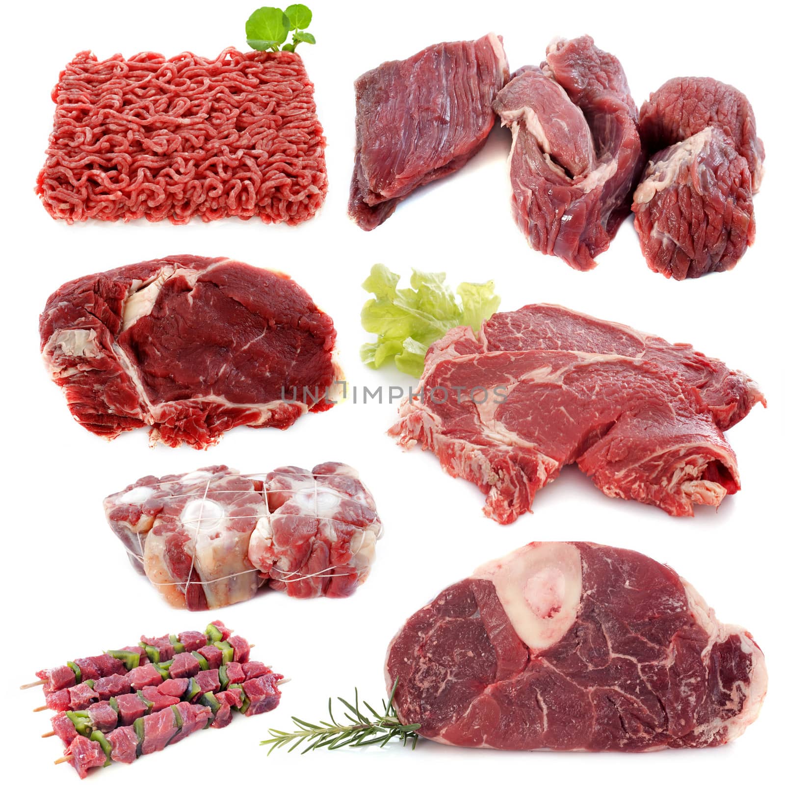 beef meat by cynoclub