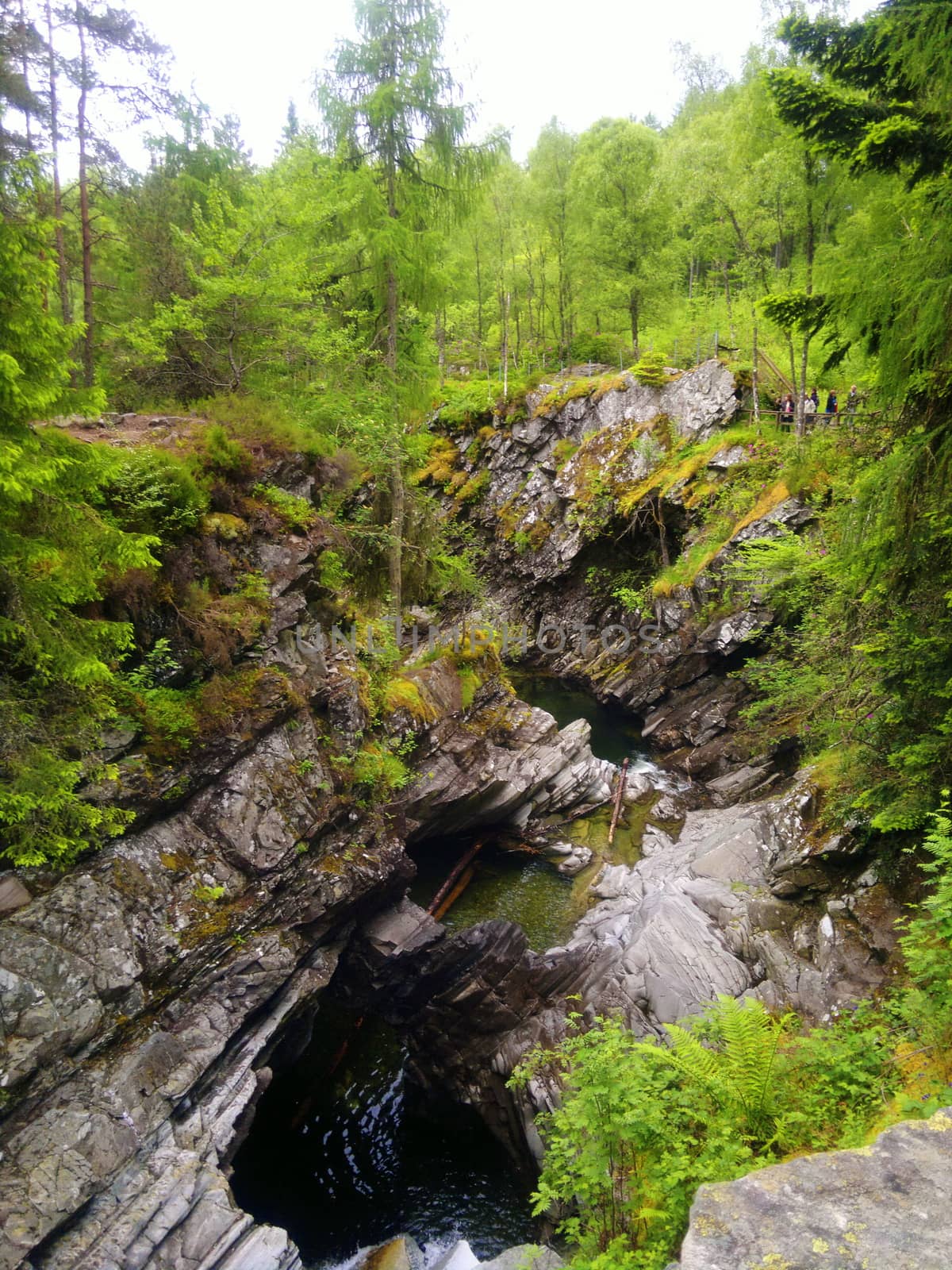 River deep in mountain forest. Nature composition.