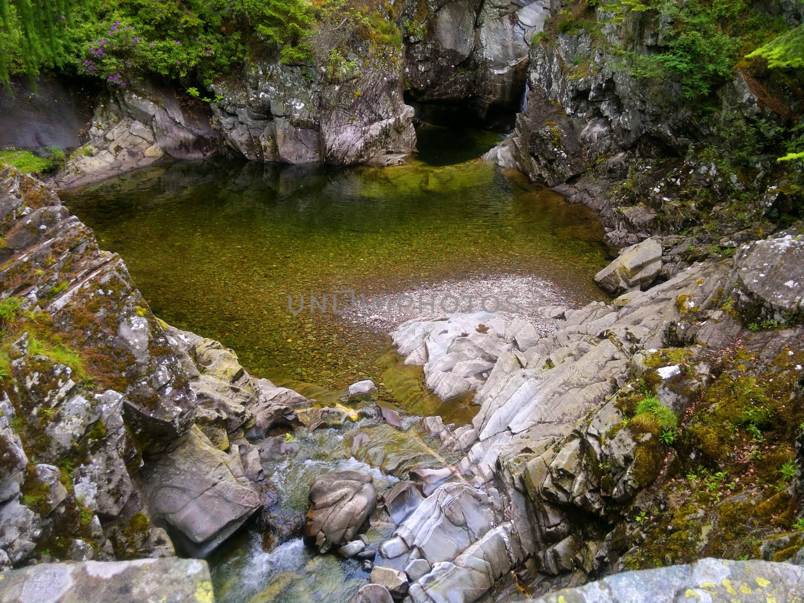 River deep in mountain forest. Nature composition.