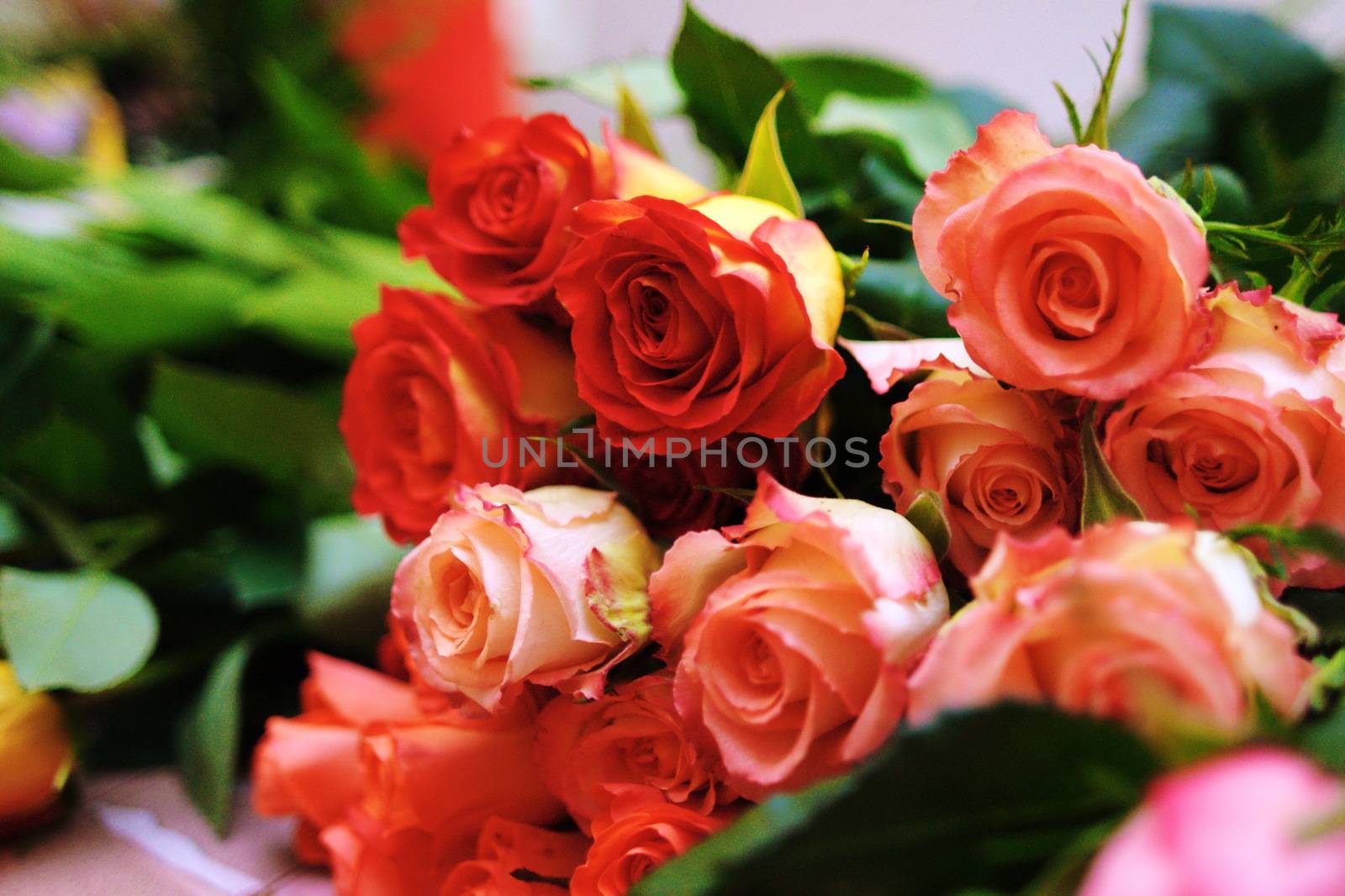 Beautiful Rose bouquet for all women, postcard
