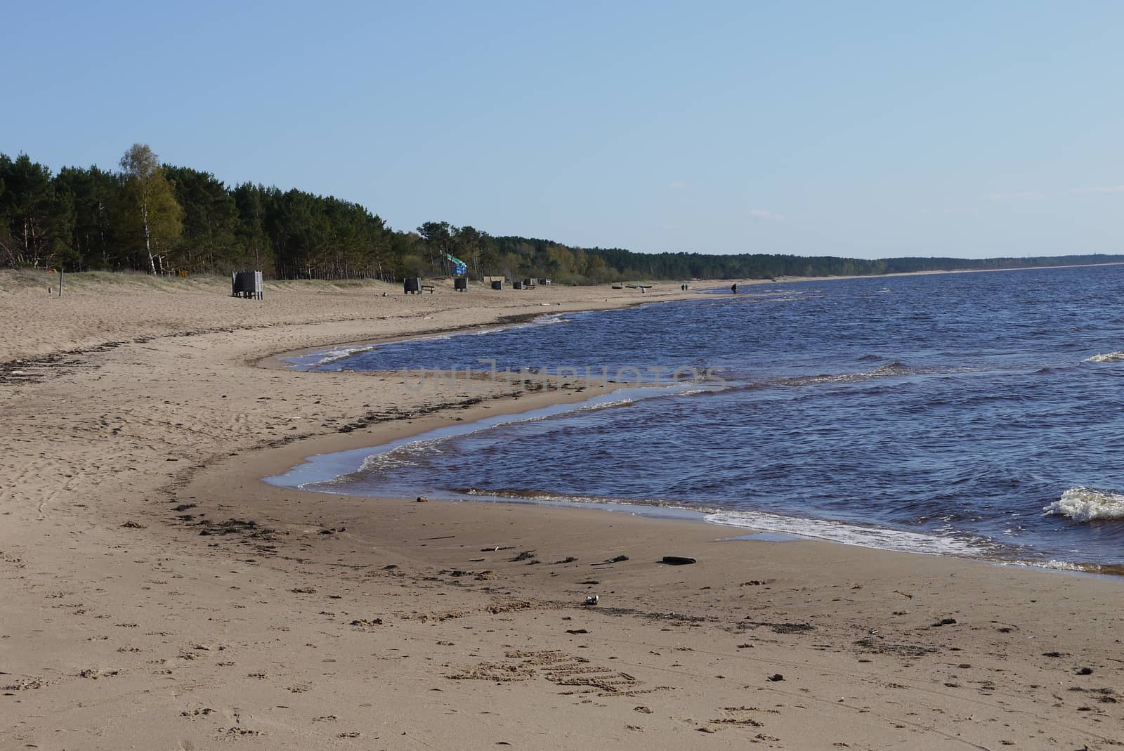 Latvian beach by dolfinvik
