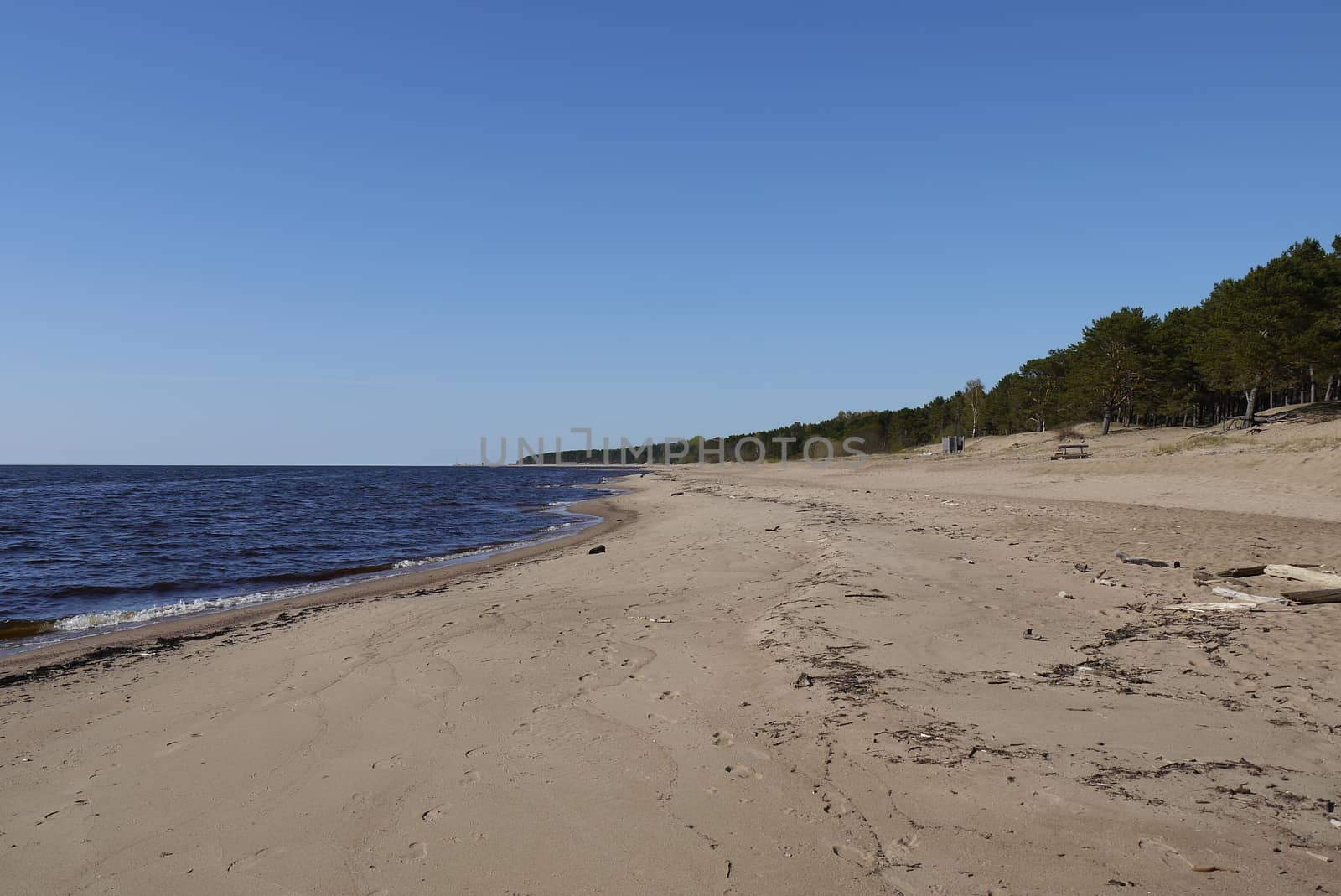 Latvian beach,Panorama of Gulf of Riga in Spring