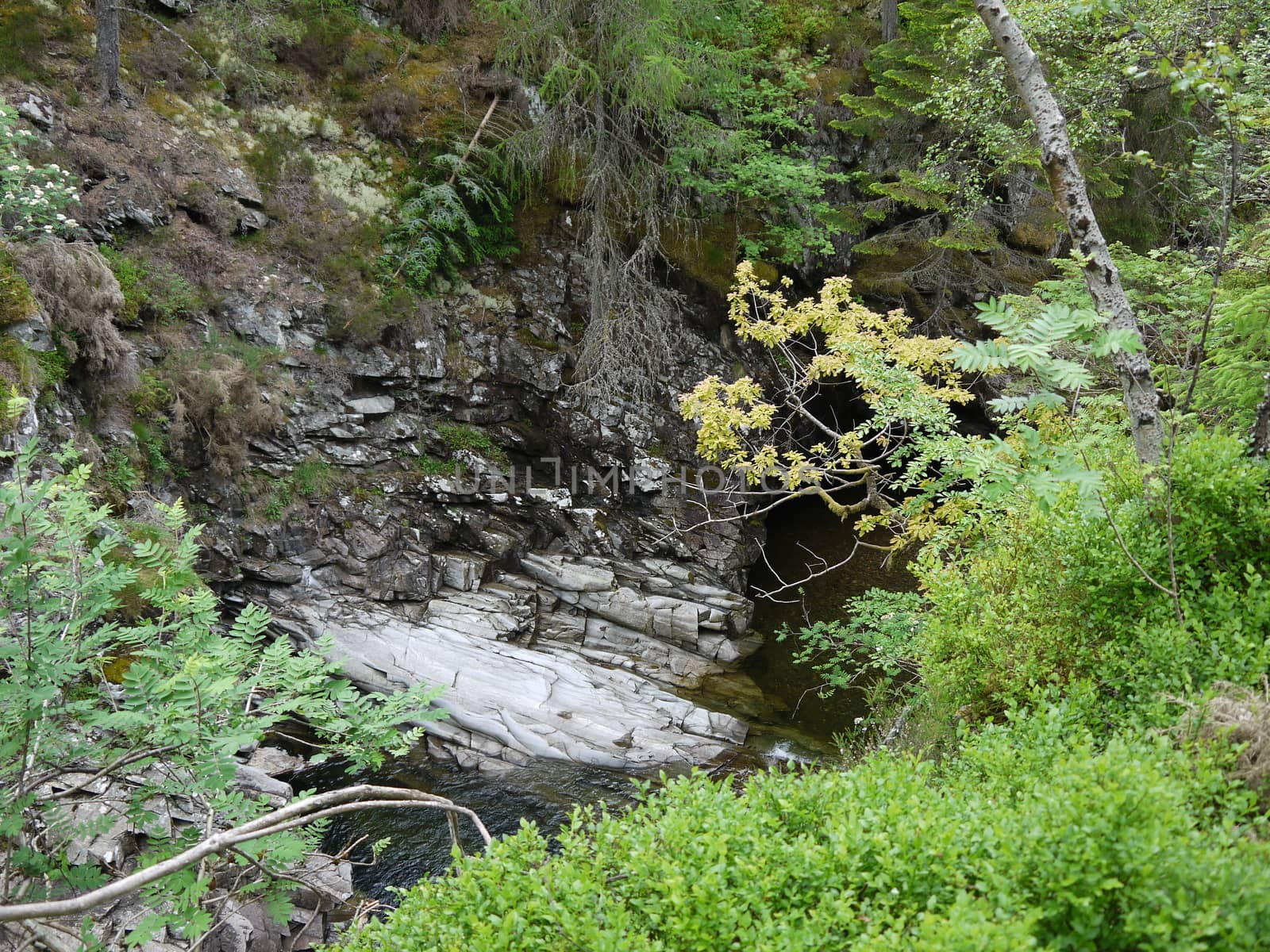 River deep in mountain forest. Nature composition.