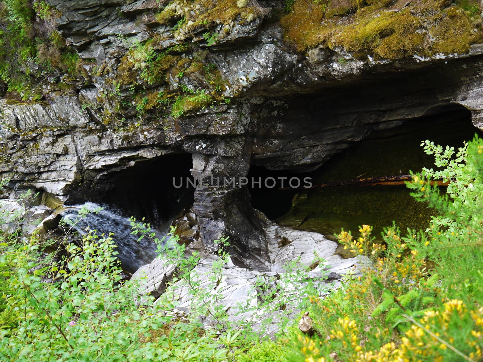 River deep in mountain forest. Nature composition.