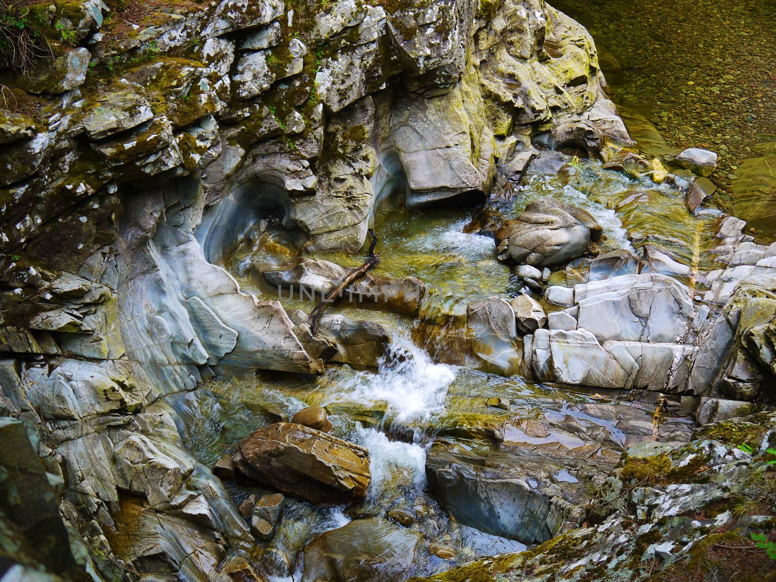 River deep in mountain forest. Nature composition.