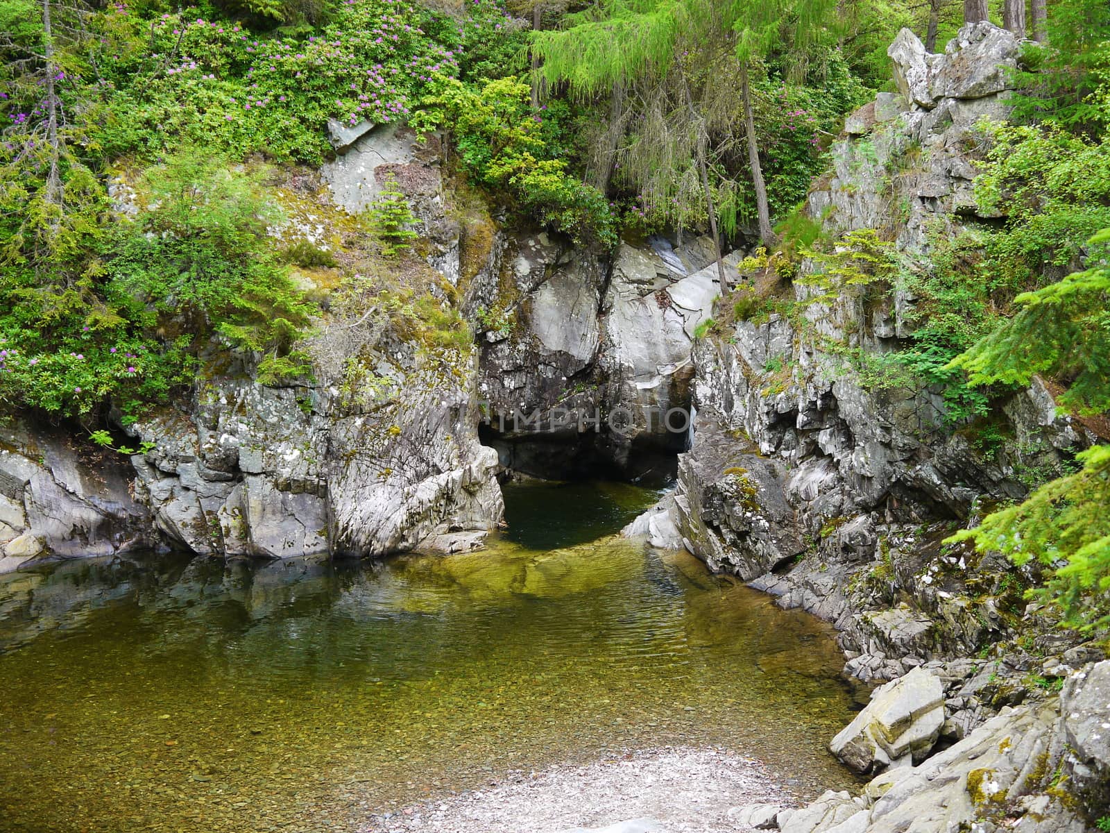 River deep in mountain forest. Nature composition.