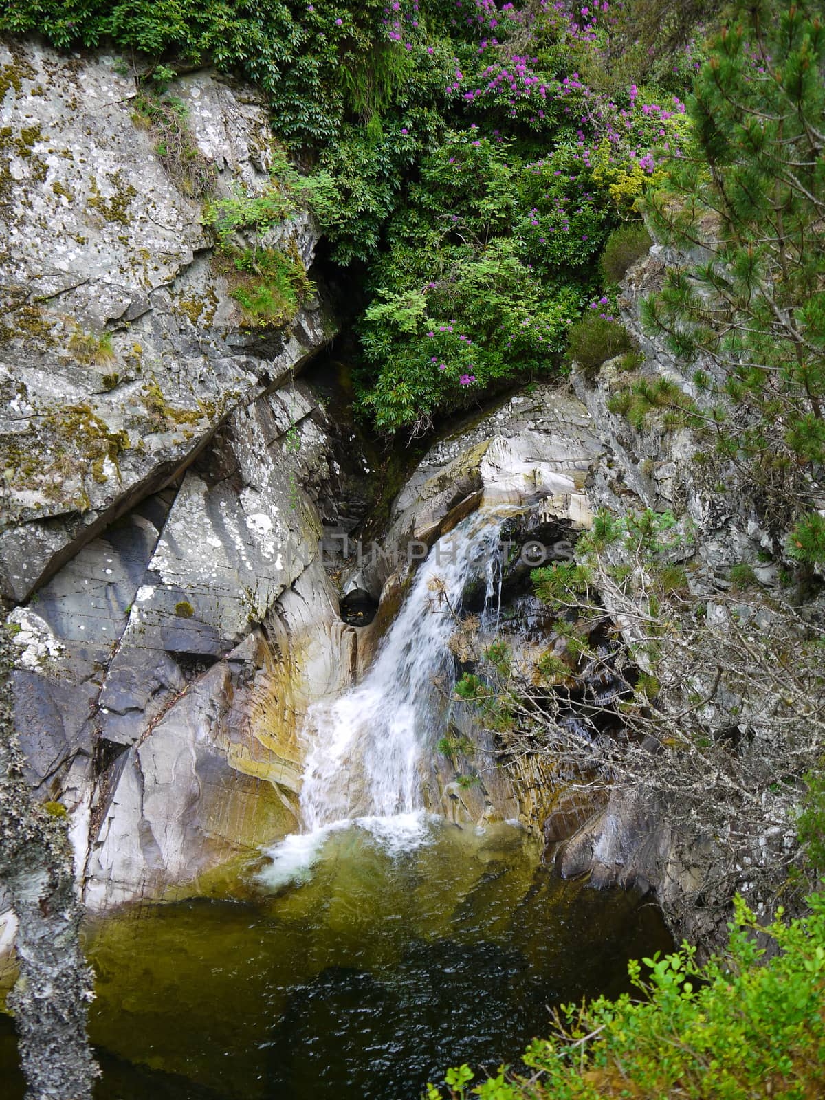 River deep in mountain forest. Nature composition.