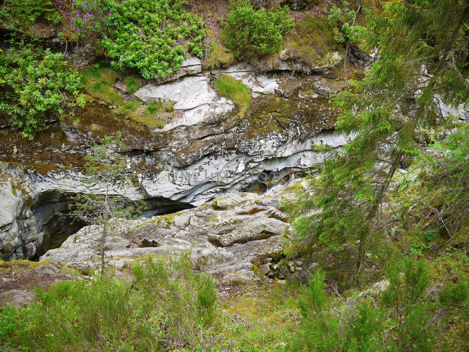 River deep in mountain forest. Nature composition.