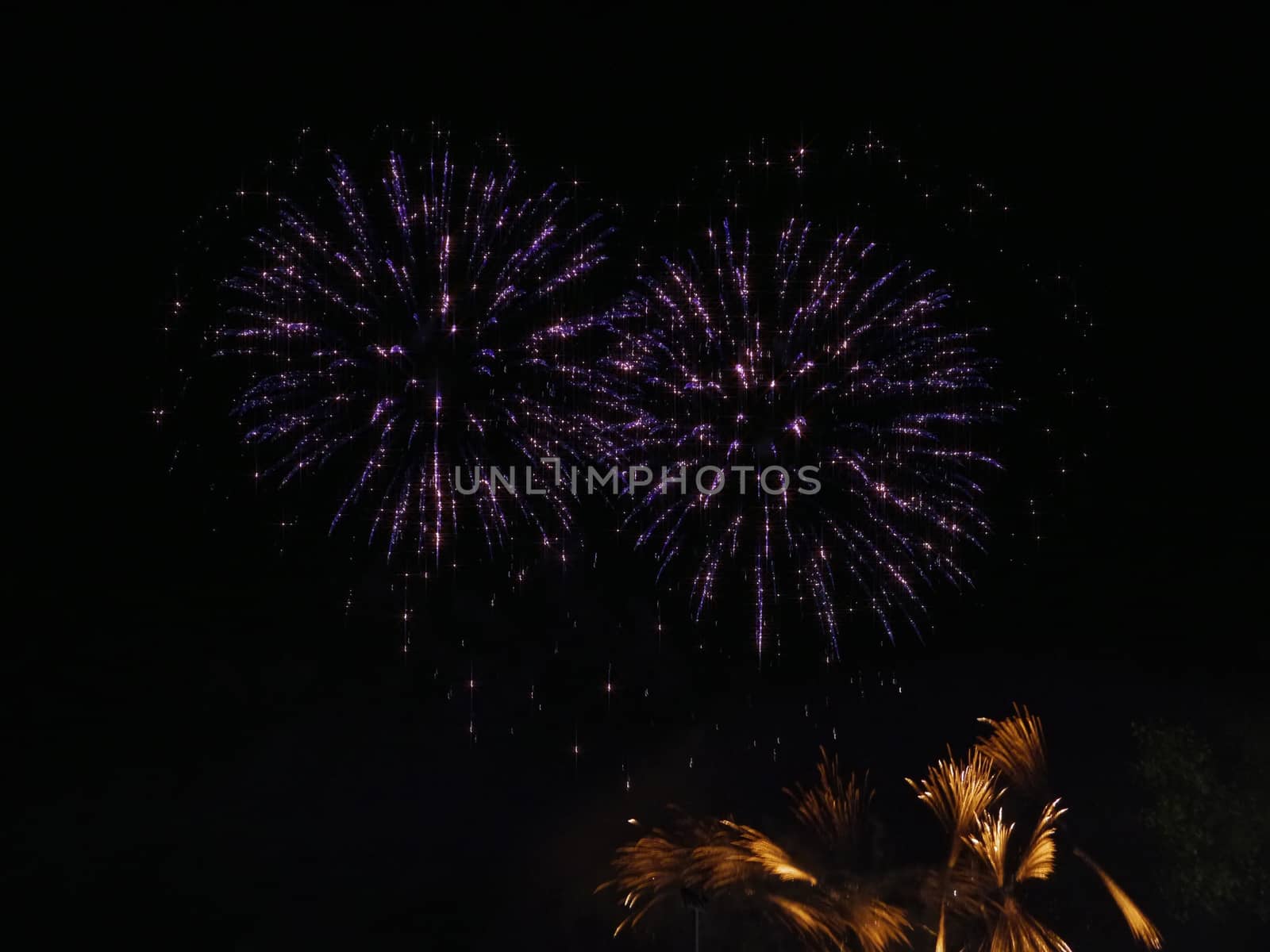 Colorful fireworks on the black sky for new year