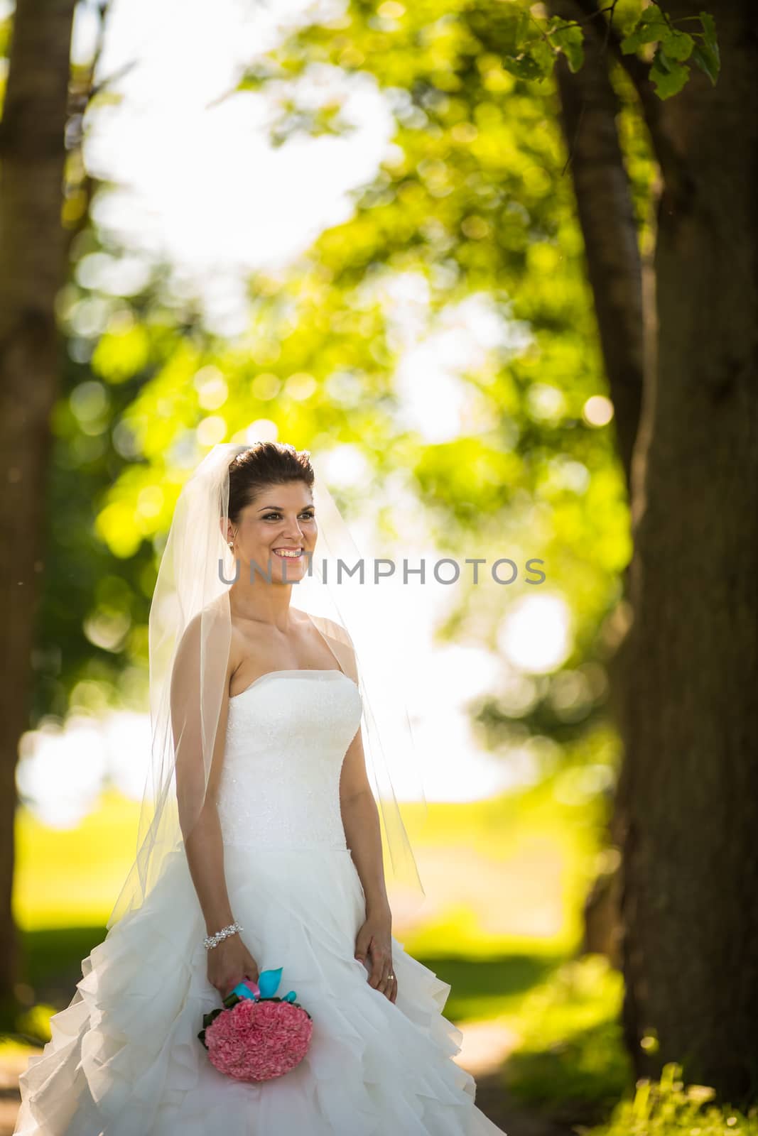 Gorgeous bride on her wedding day by viktor_cap