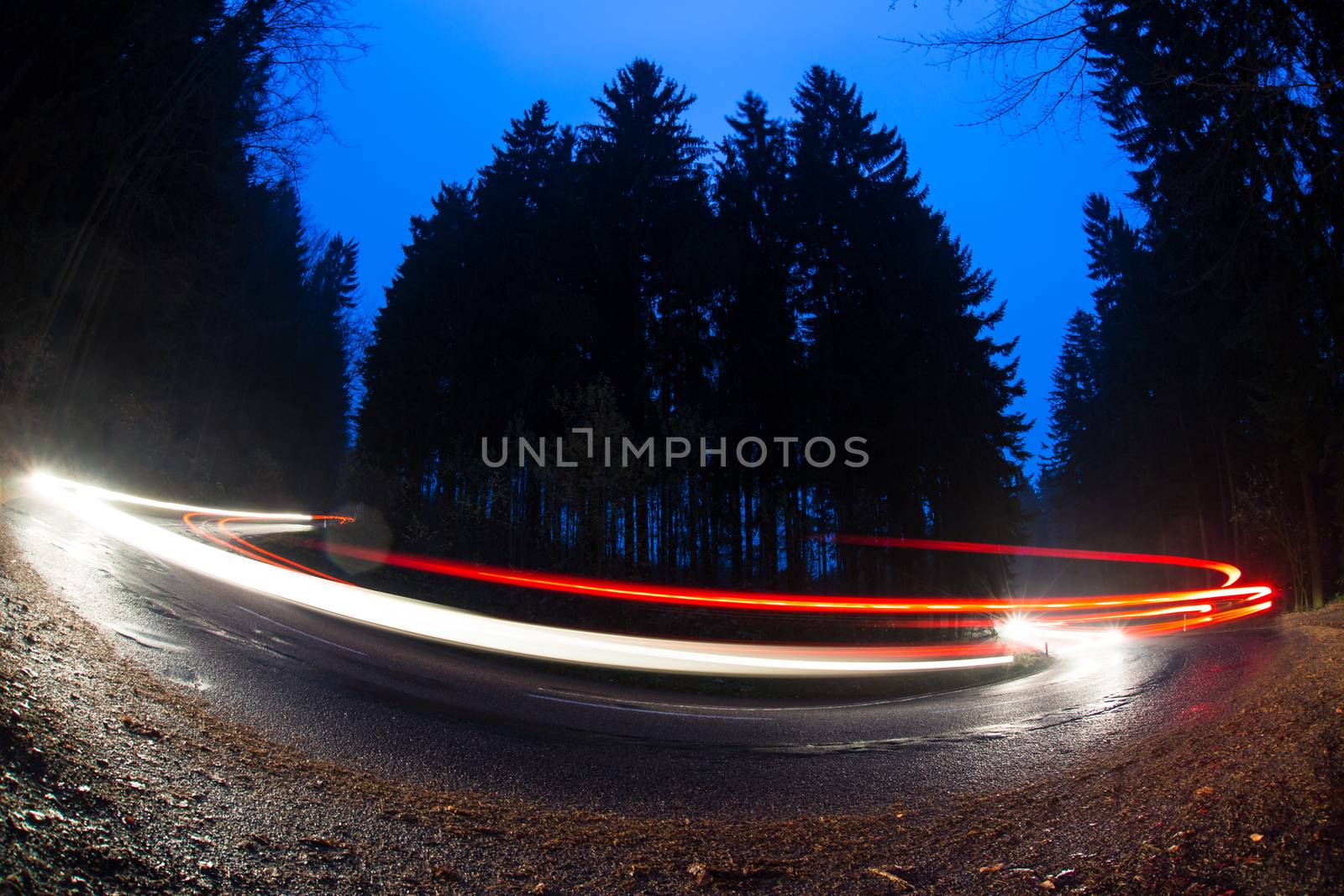 Cars going fast through a curve on a forest road at dusk by viktor_cap