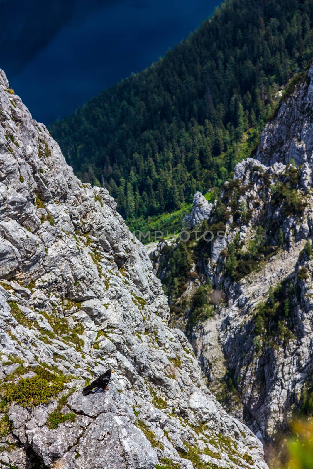 Large view of the high mountains Alps Austria