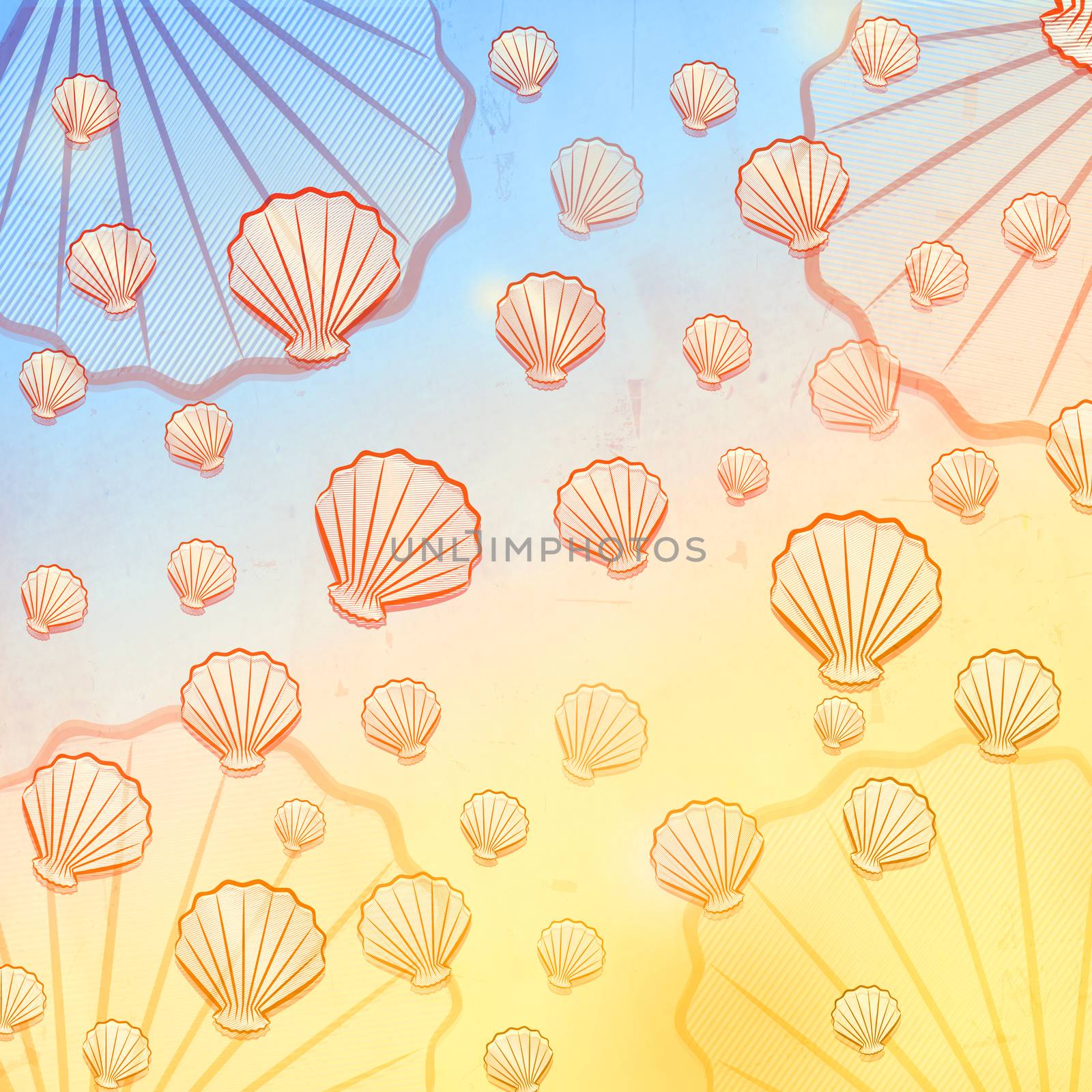summer background with shells by marinini