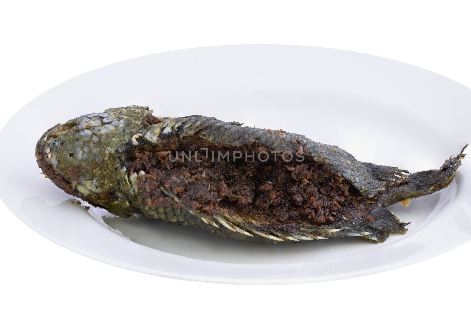 Fried climbing perch fish on dish isolated on white background