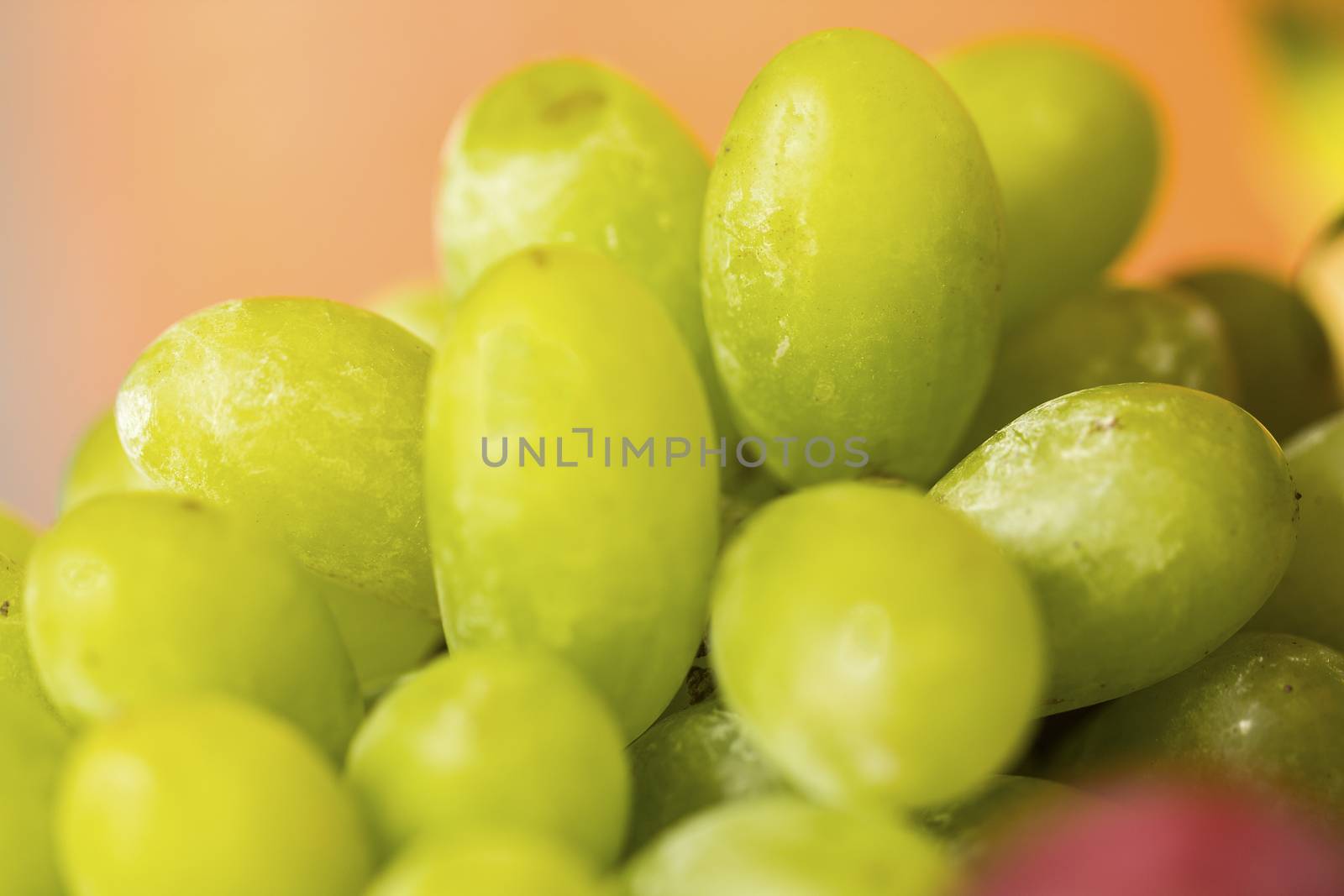 Close up white wine grapes 