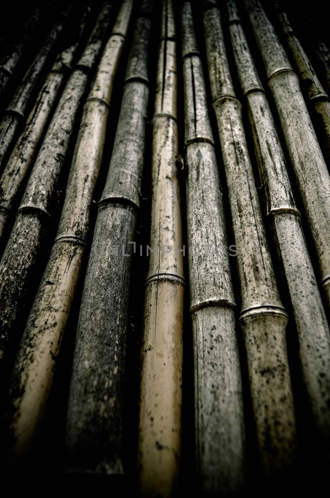 Background Of Dirty Bamboo by mrdoomits