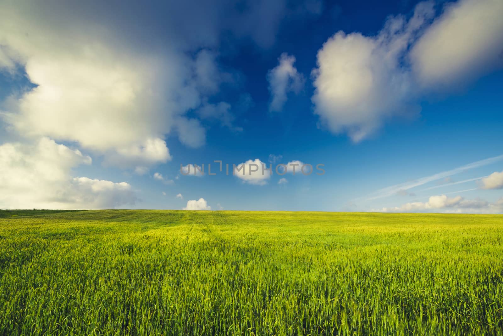 Beautiful landscape with an amazing blue sky and white clouds