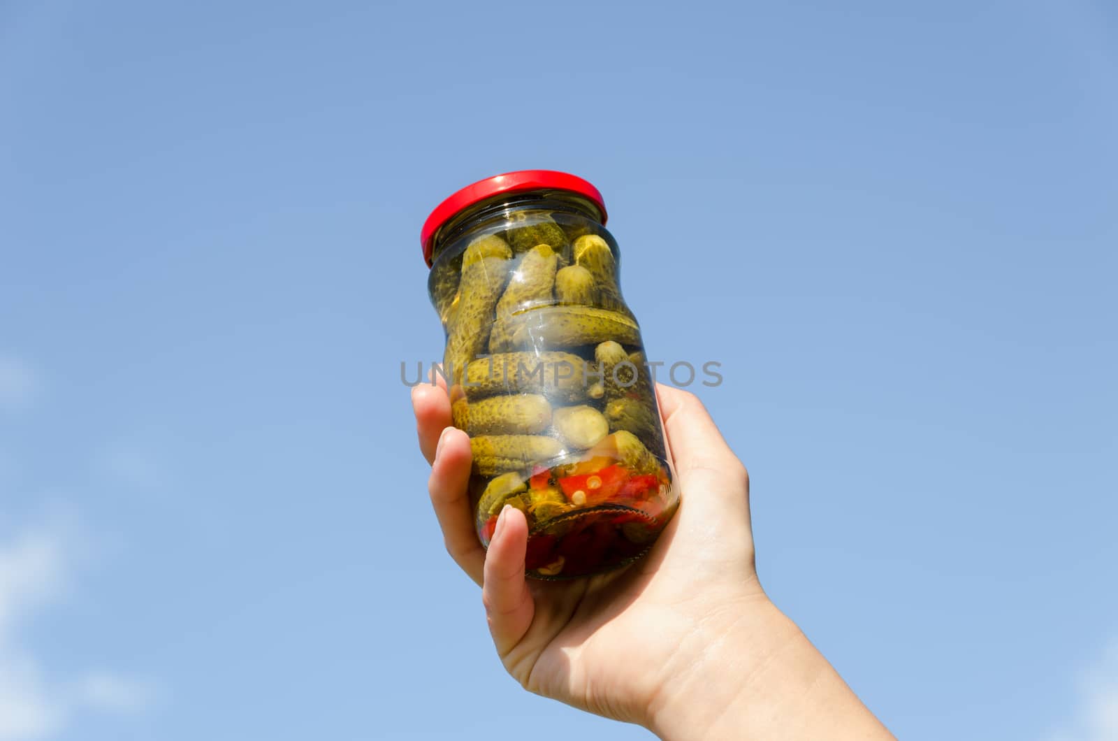 preserved green cucumber in glass jar in female hand on blue sky background