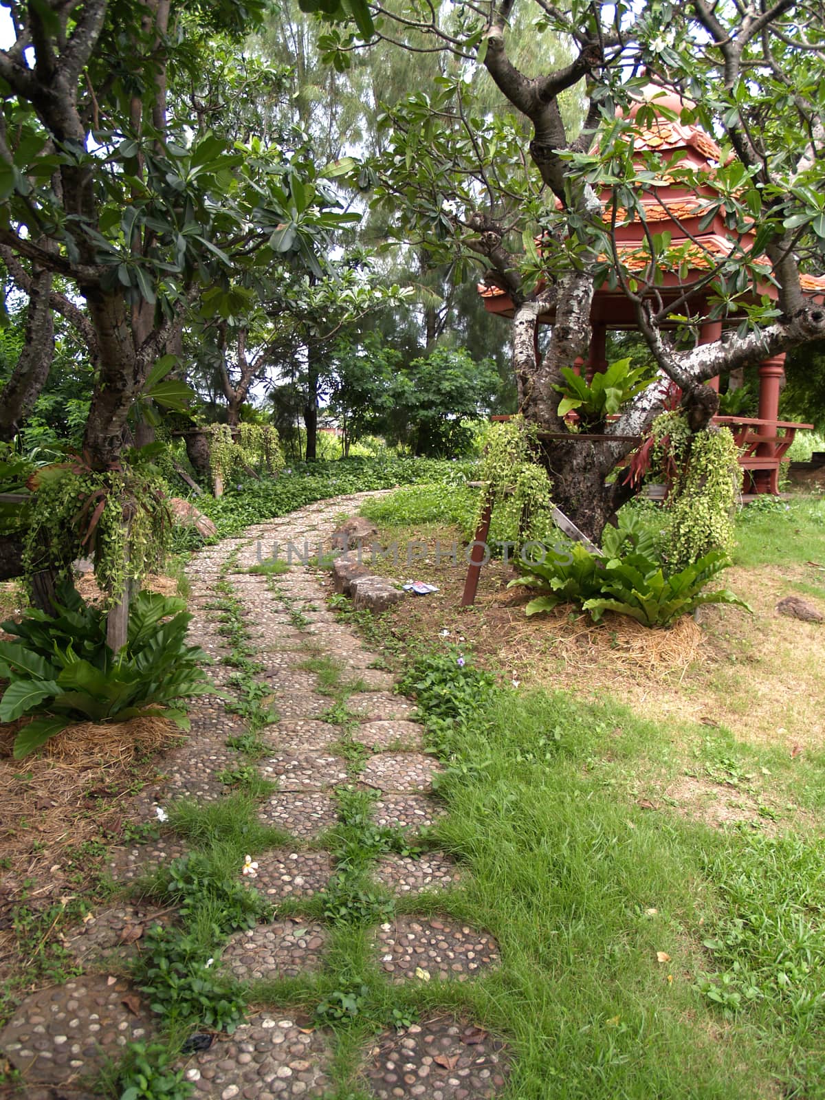 walkway in the park